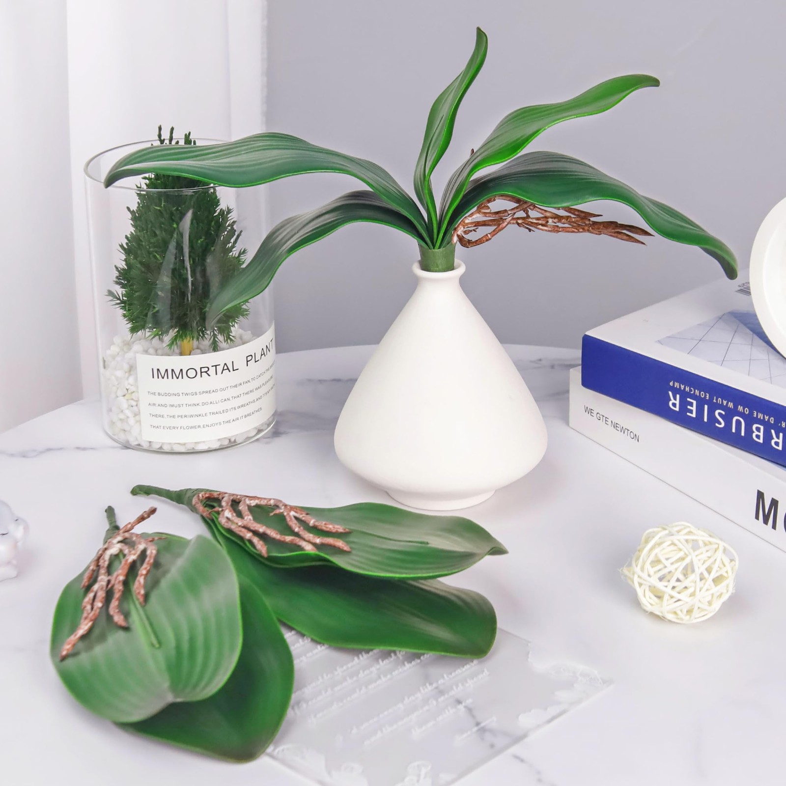 Phalaenopsis Orchid Leaves Fake Leaves Real Latex Touch Plants Arrangement