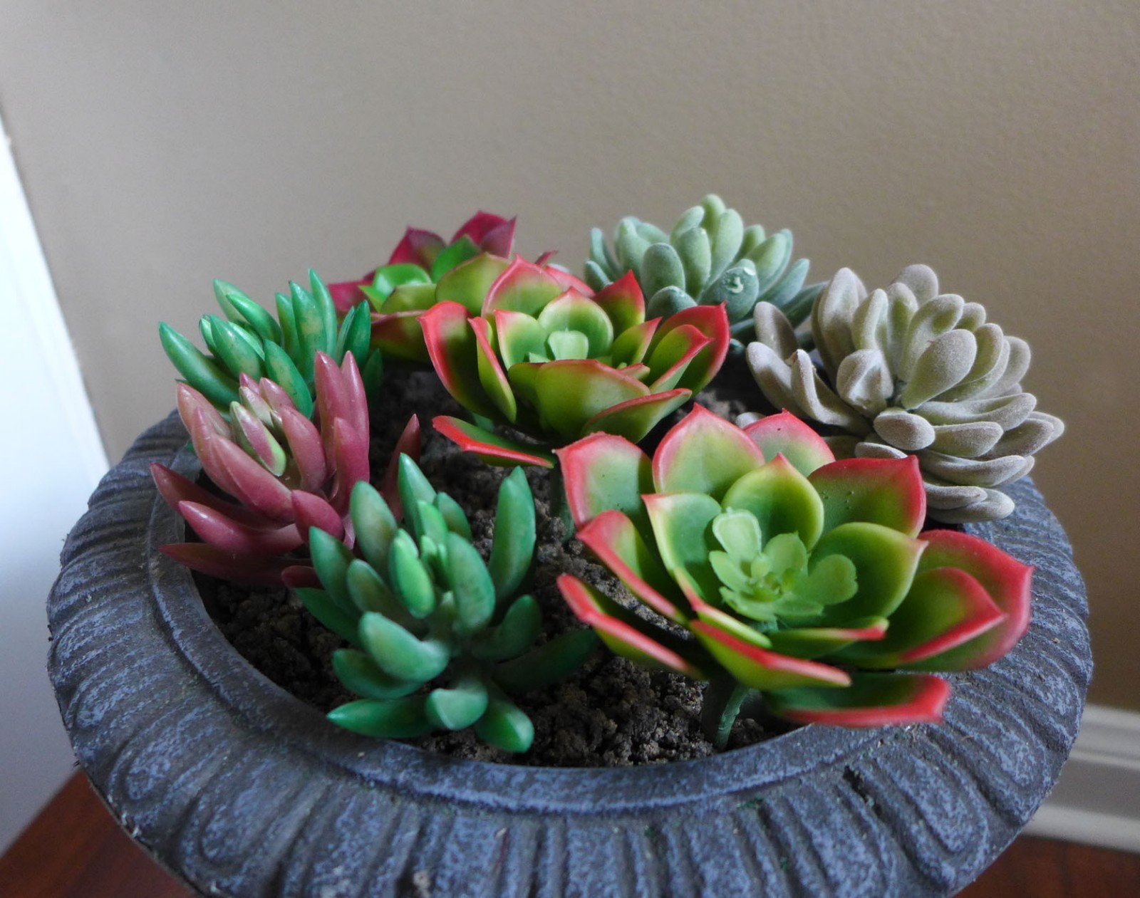 8 Artificial mini plants unkillable Succulents Grass Home Garden Decoration