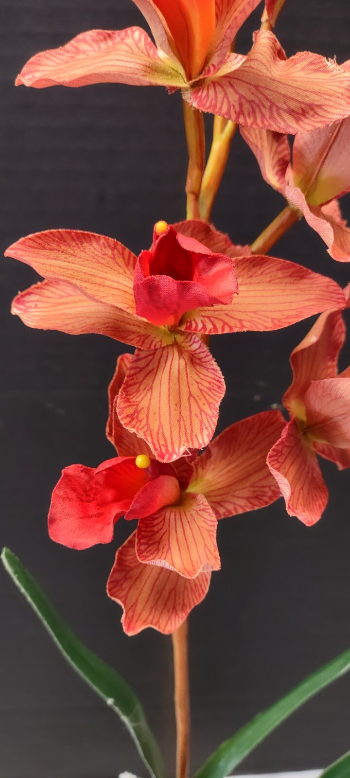 Artificial Cymbidium Orchid Plant