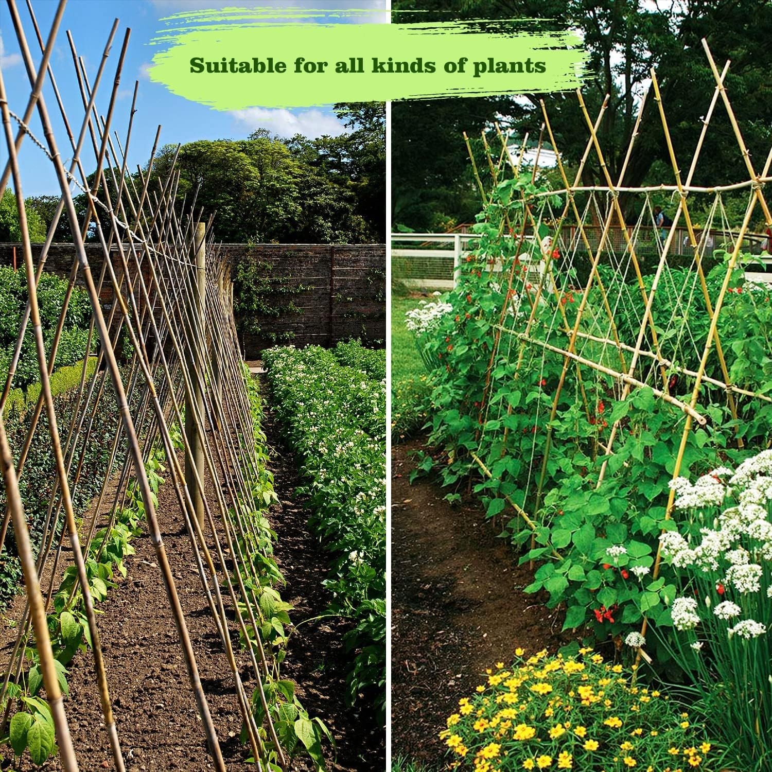 25Pcs 1/2″ D Thicker Heavy Duty Bamboo Stakes 4Ft Plant Stakes Natural Garden St