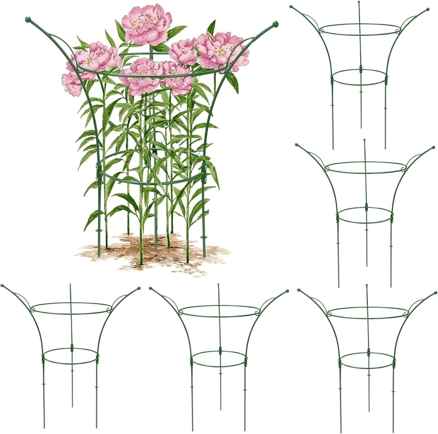 6 Pack Peony Cages & Supports Cages 13″ D x 22.8″ H Heavy Duty Metal Support