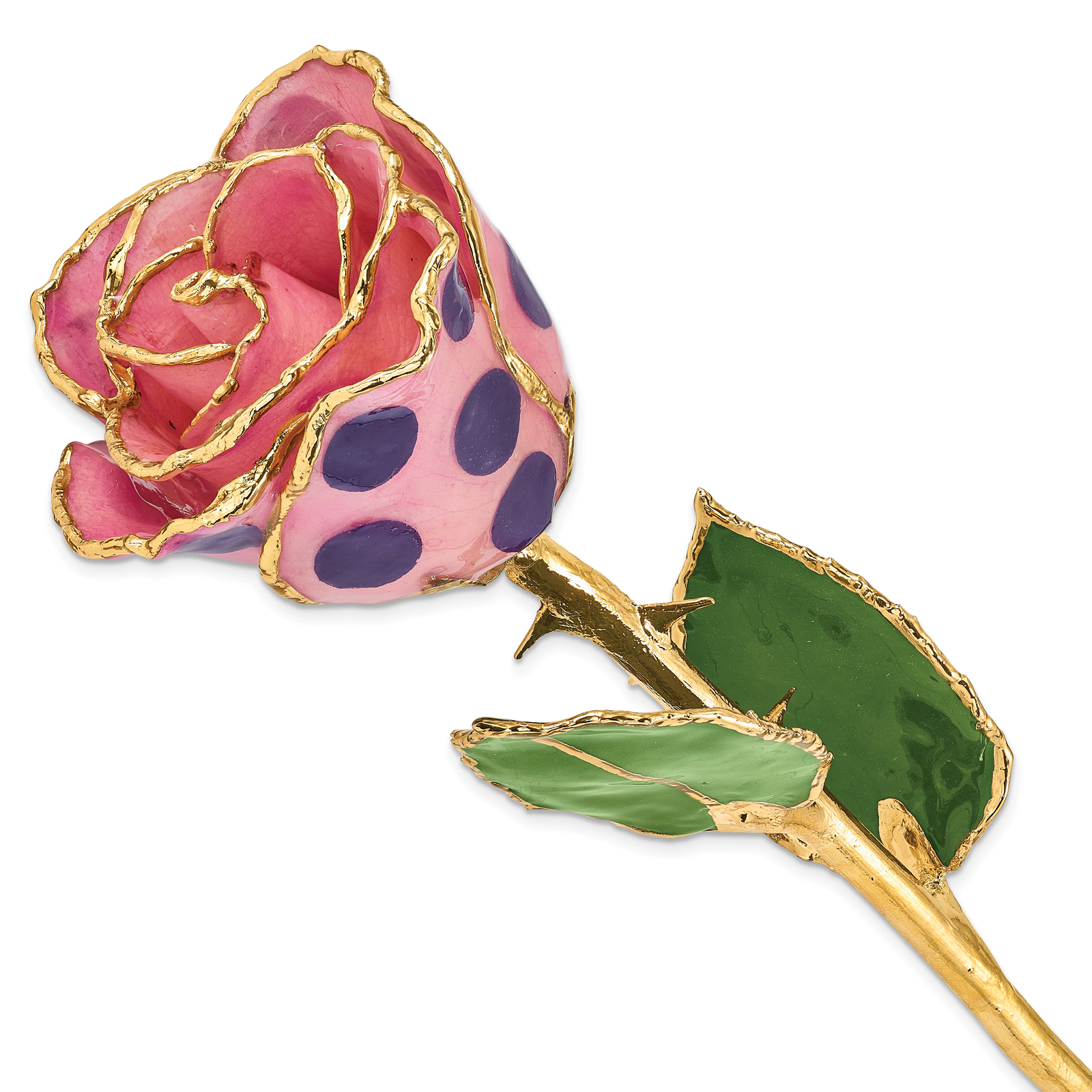 Lacquer Dipped Gold Trimmed Pink and Purple Dots Real Rose GM10290