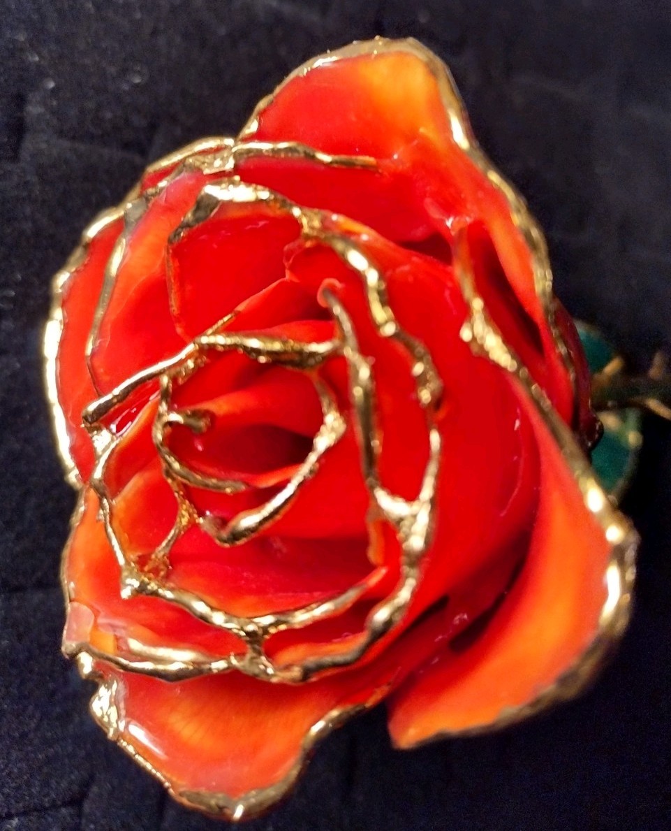 Gold Dipped Rose 24 K Beauty That Lasts Forever With Out The Box