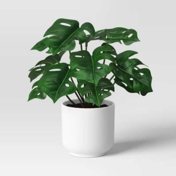 4.6"x7.2" Monstera Artificial Plant – Room Essentials