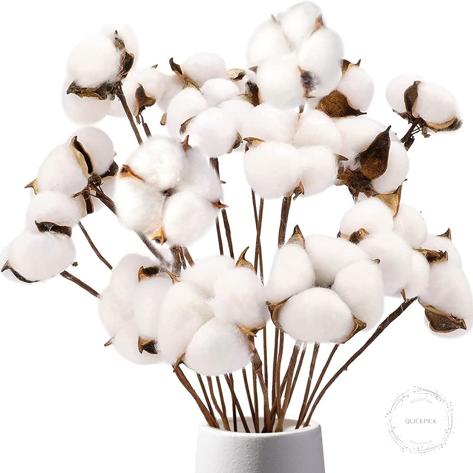 Cotton Stems 8 Packs with 15 Bolls, Natural Dried Flowers Cotton Sprigs for Vase
