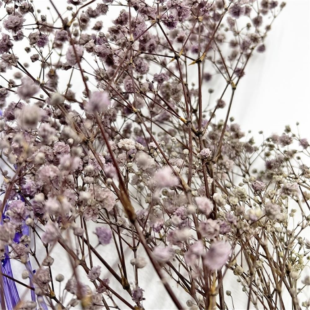 Pemberly Row 10-inch High Real Preserved Mixed Bouquets in Small Size