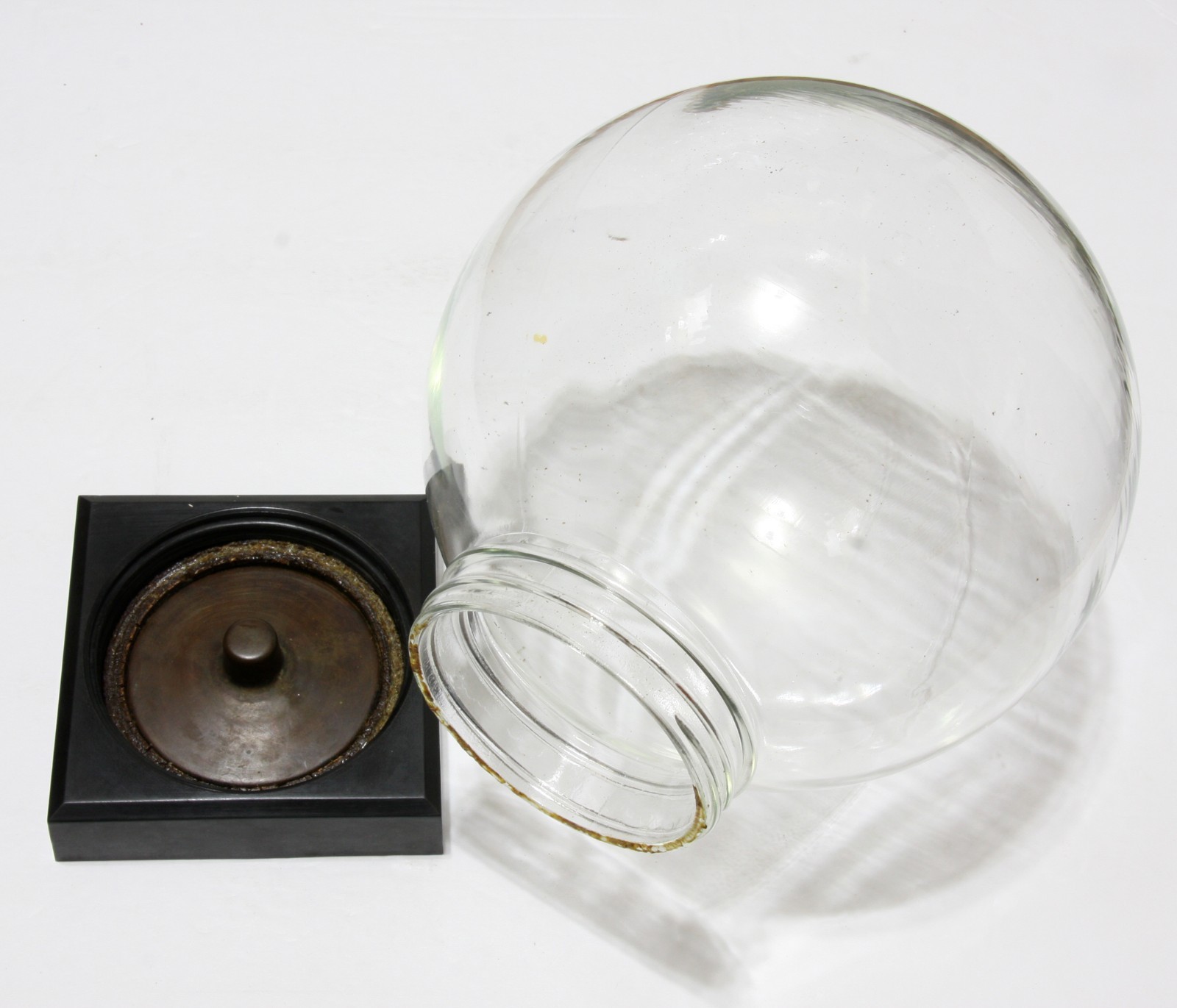 Terrarium Clear Glass Floral Display Globe Plastic Screw On Base 8″ Vintage
