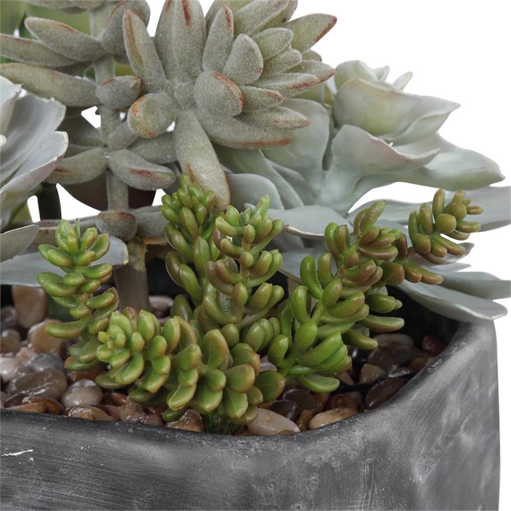 Uttermost Alverio Contemporary Plastic Iron Cement Succulents in Black/Green