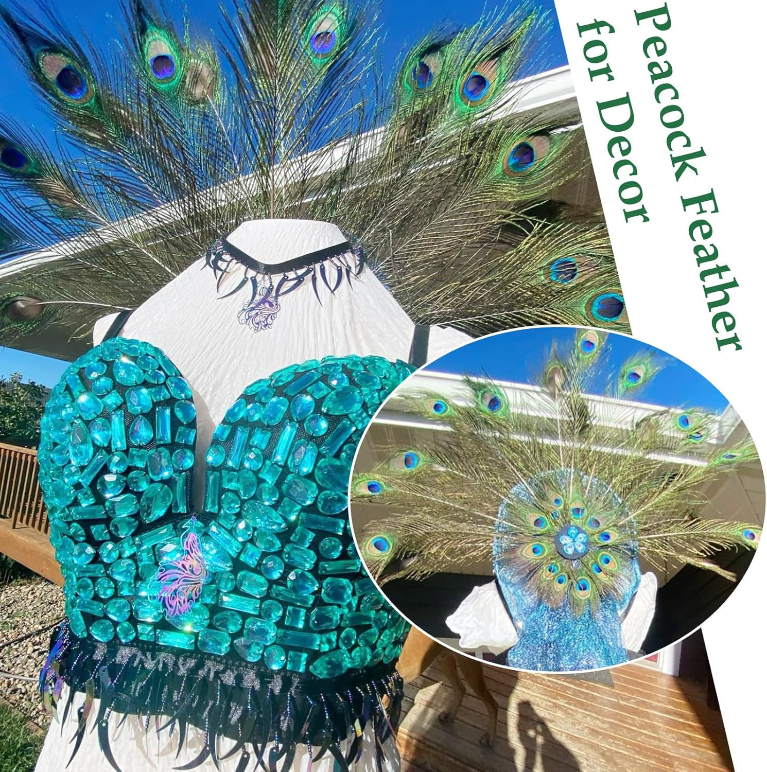 Natural Peacock Feathers 16-18Inch for Home Decor Flower Arrangement Centerpiece