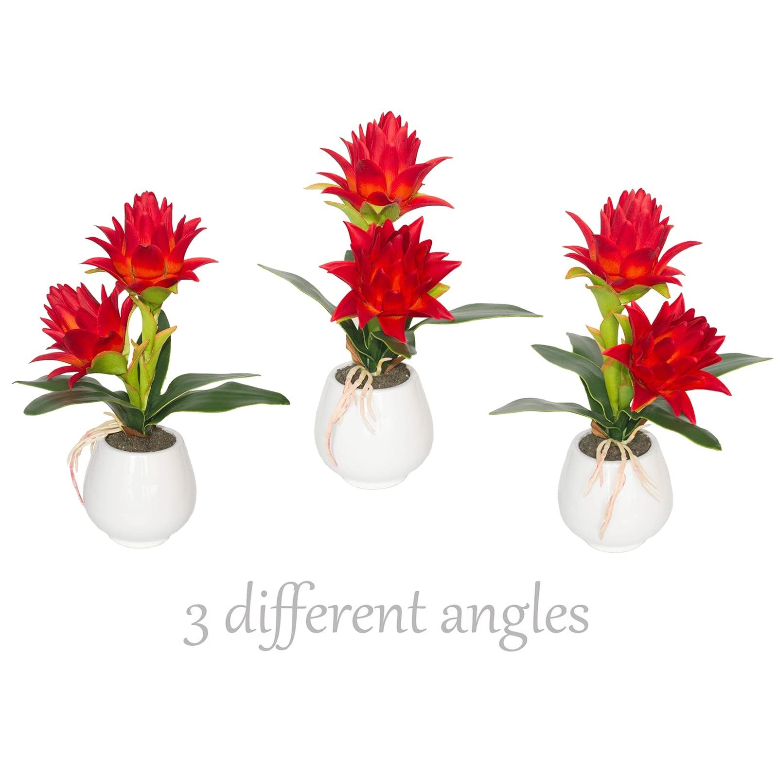 Red Potted Bromeliad – Artificial Flowers with Vase for Home and Office Decor…