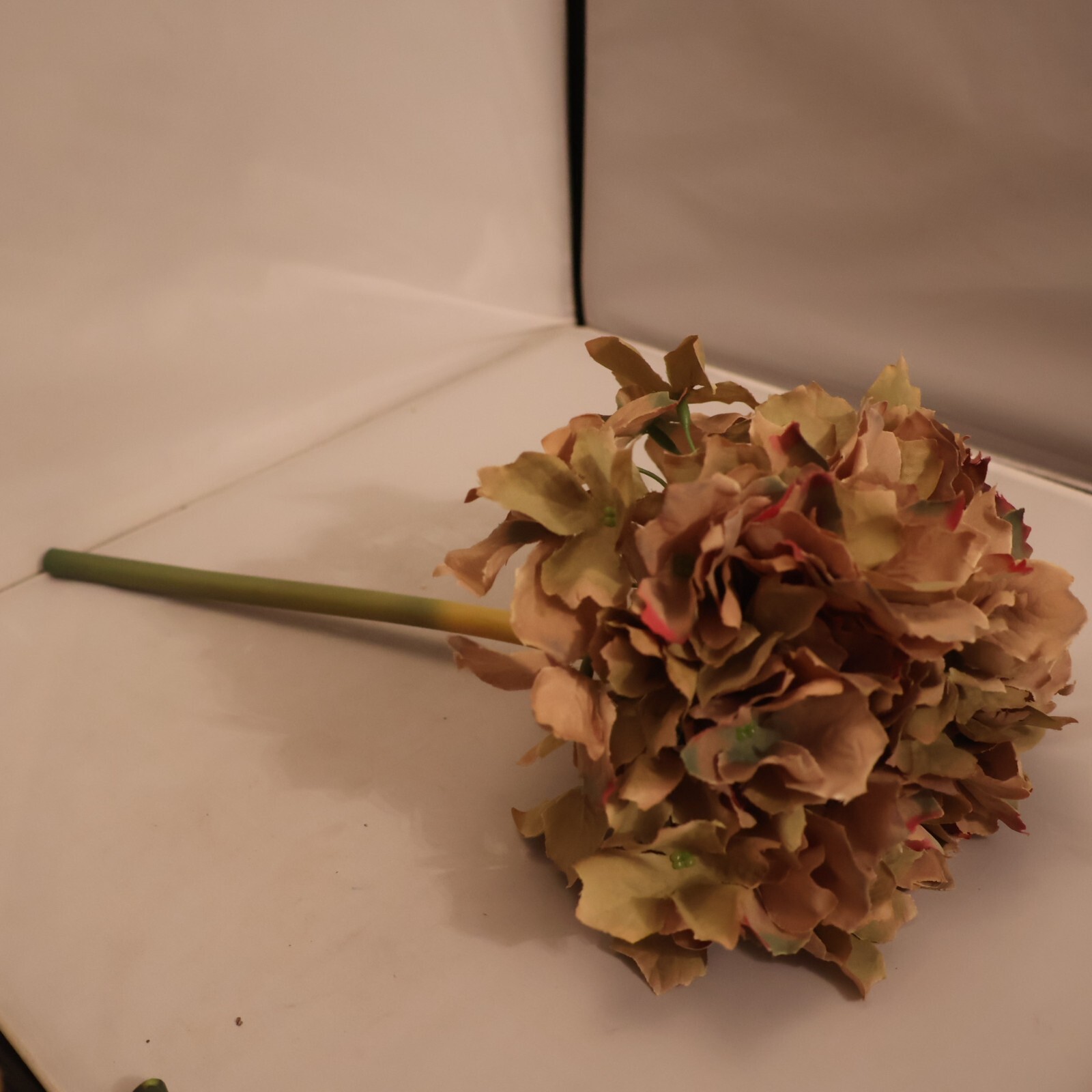 Six Lovely Pink/Blue/Purple Hydrangea Stems – Large Blossoms Plus Stem of Leaves