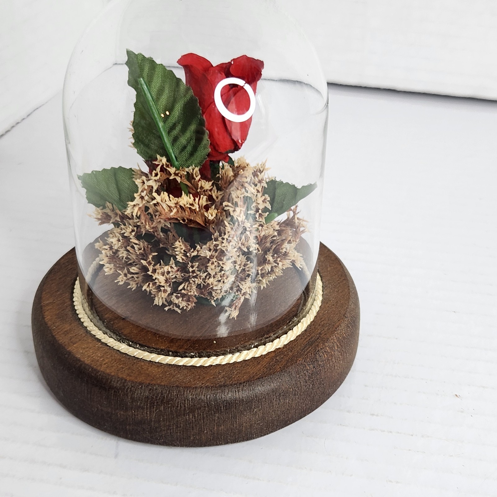 Vintage Real Preserved Red Roses Glass Dome Cloche Wood Base Floral Display