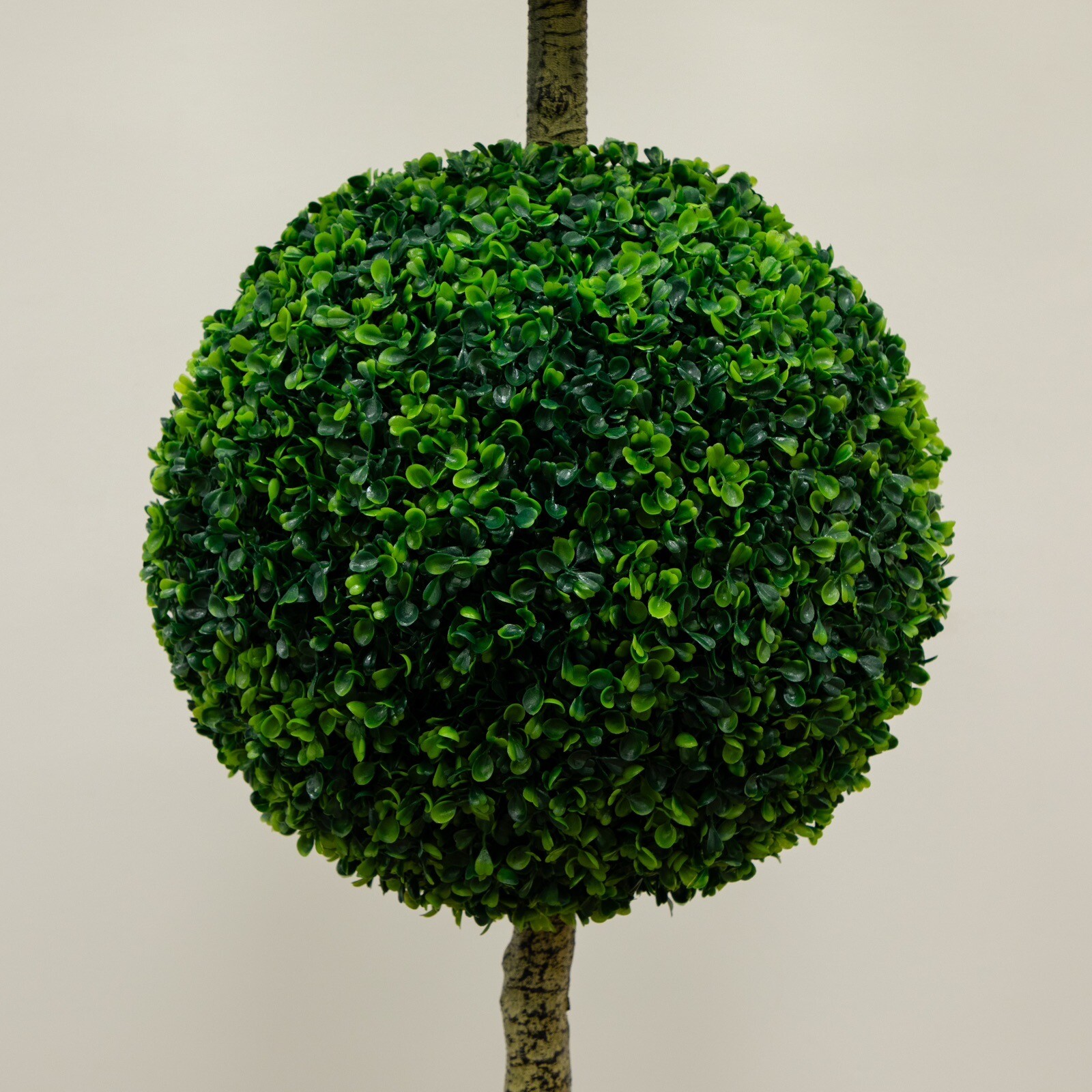 6’ Artificial Boxwood Topiary Triple Ball Tree in Planter UV Indoor/Outdoor