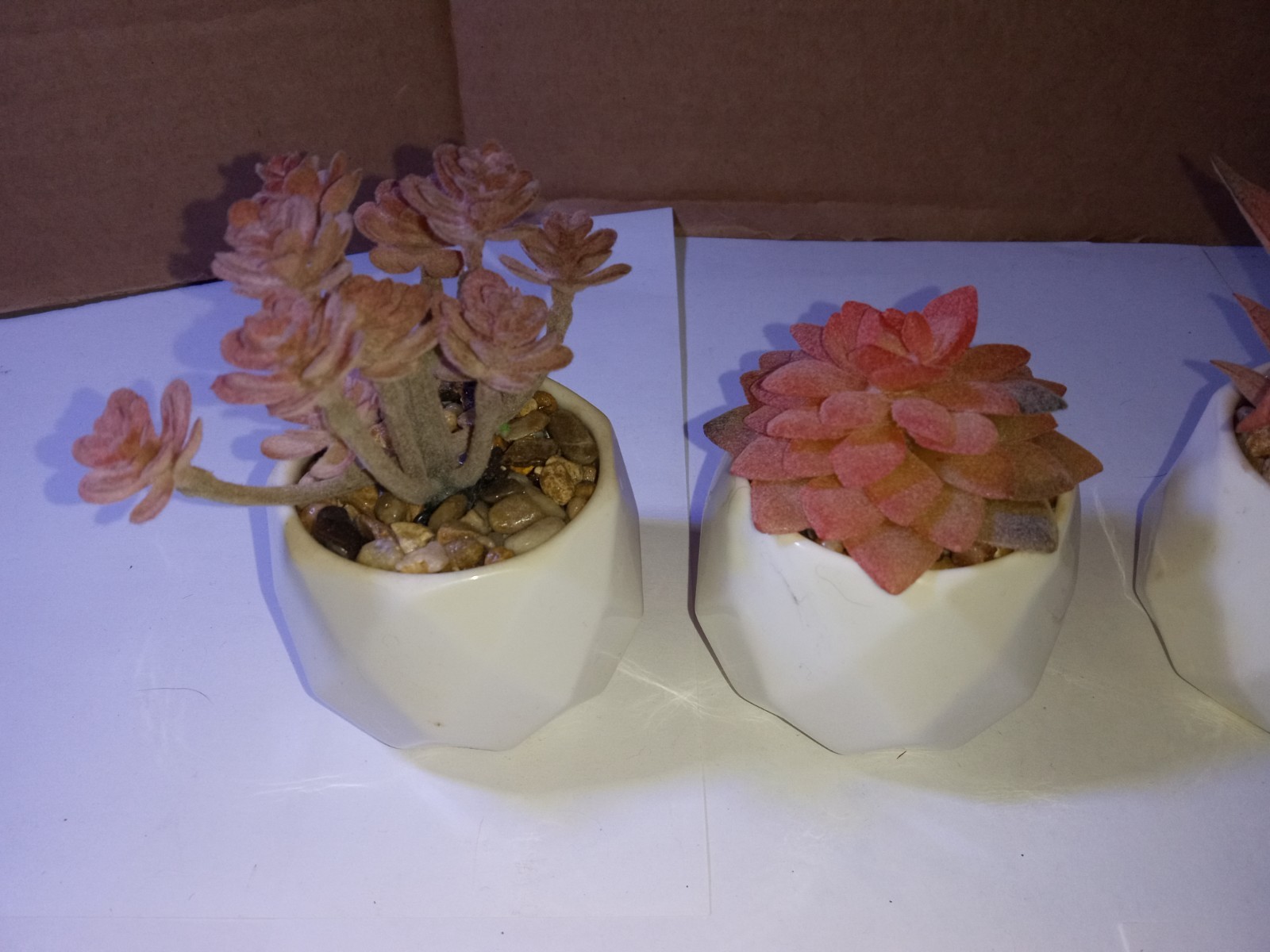 Faux Mini Pink Succulents In Ceramic Pots Set Of 4 Office, Home Decor