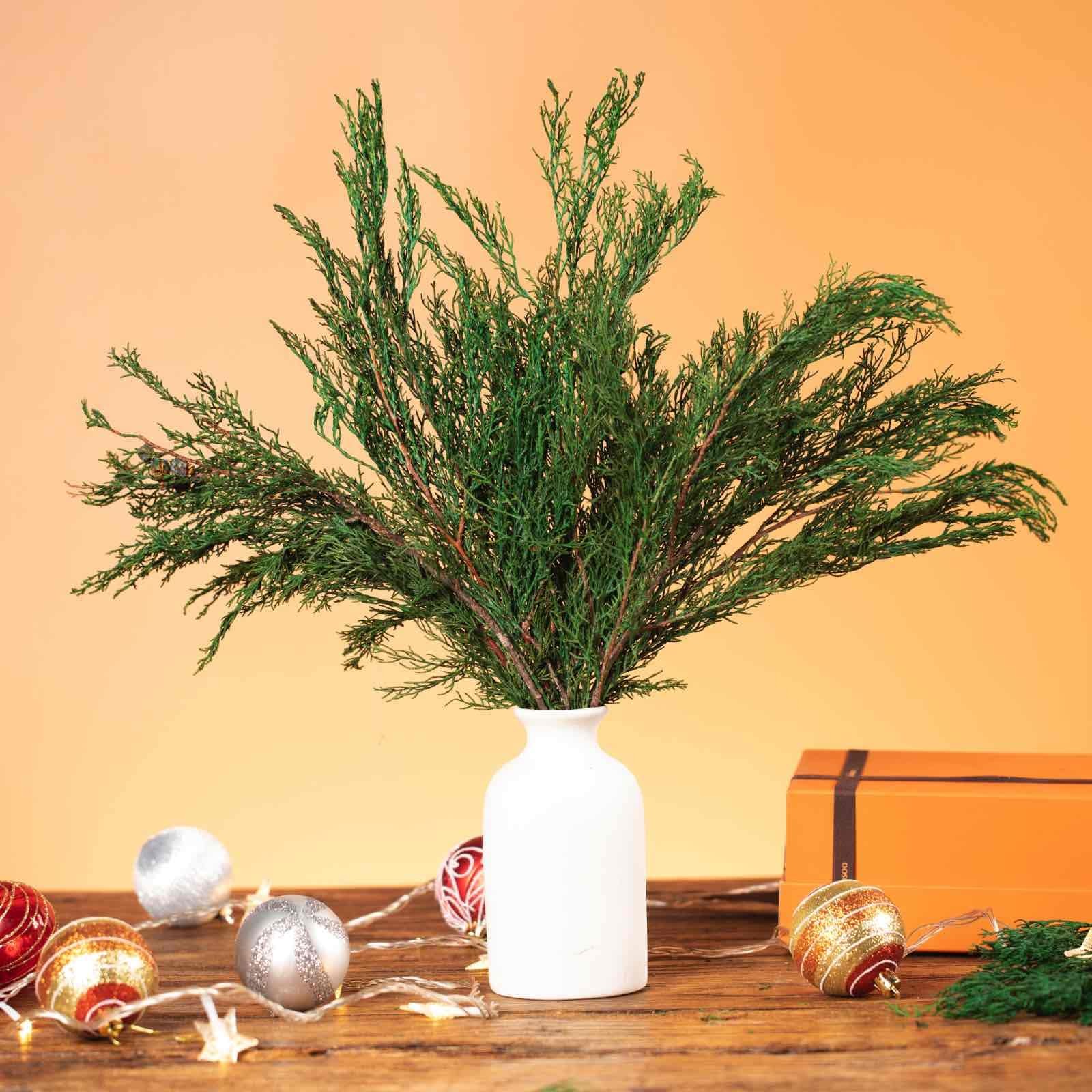 4OZ Preserved Real Pine Leaves Branches -17” Natural Greenery Plants Twigs S…