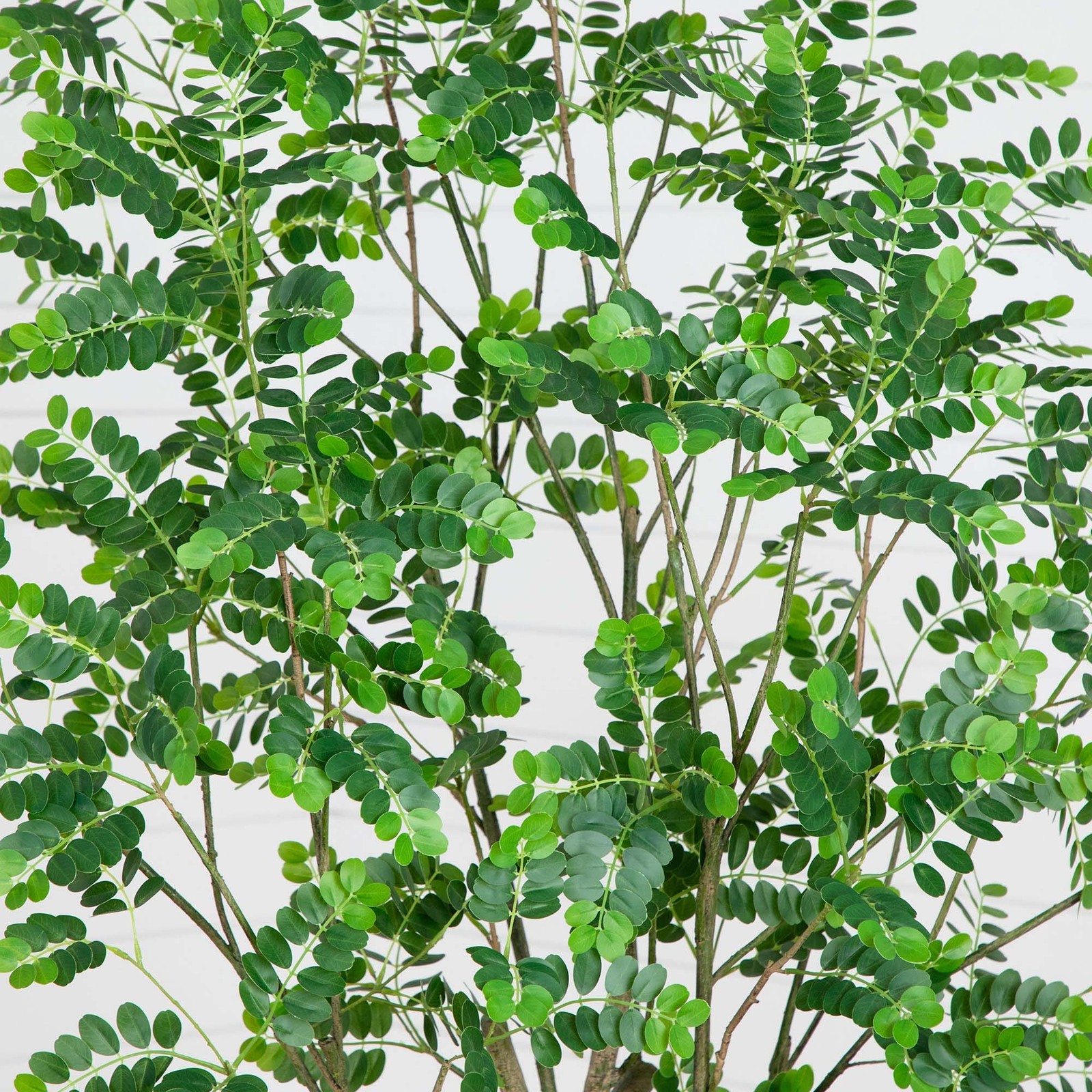 Nearly Natural 7ft Artificial Greco Citrus Tree with Real Touch Leaves in Green