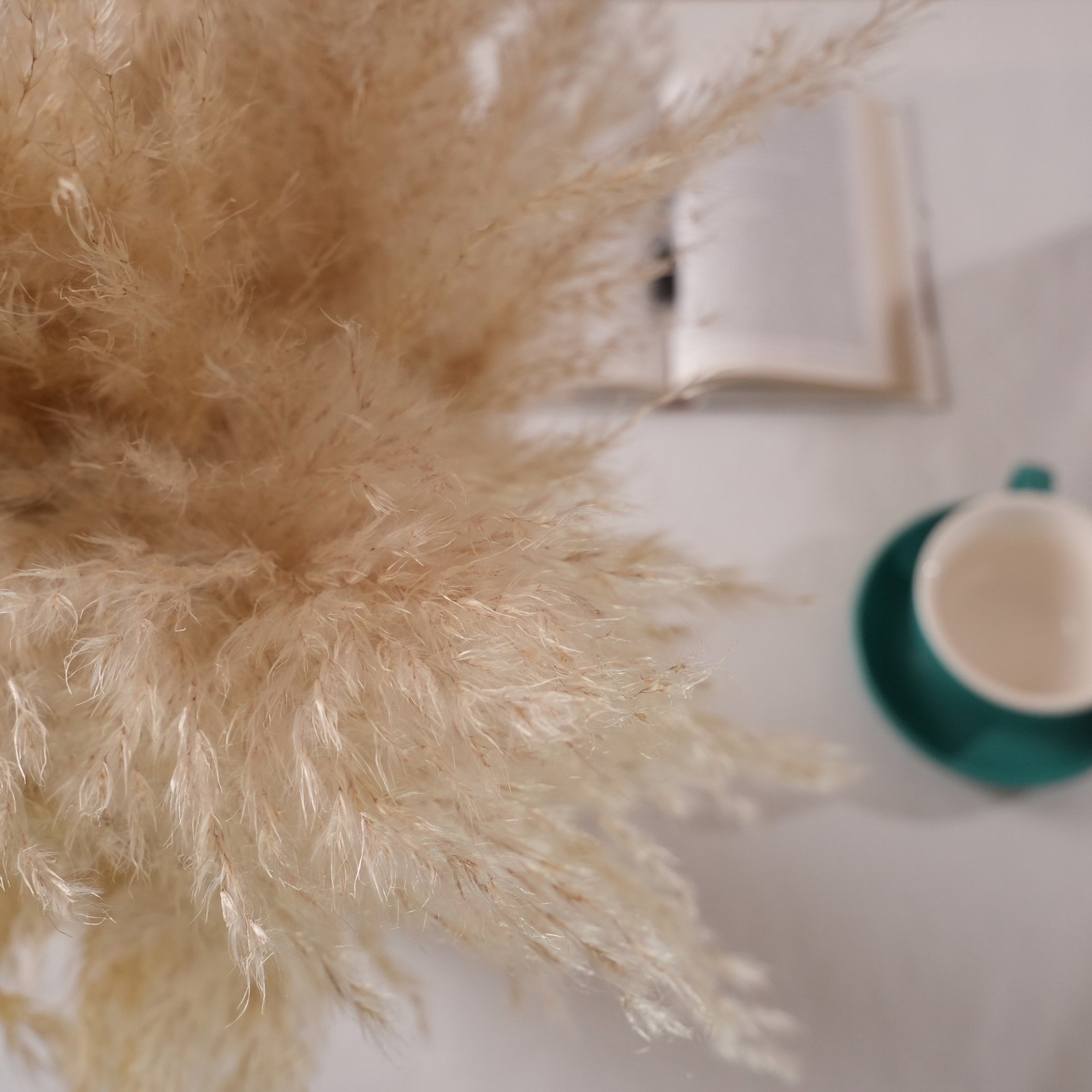 22-Inch Pampas Grass Arrangement in Natural Ceramic Vase for Modern or Boho Spac