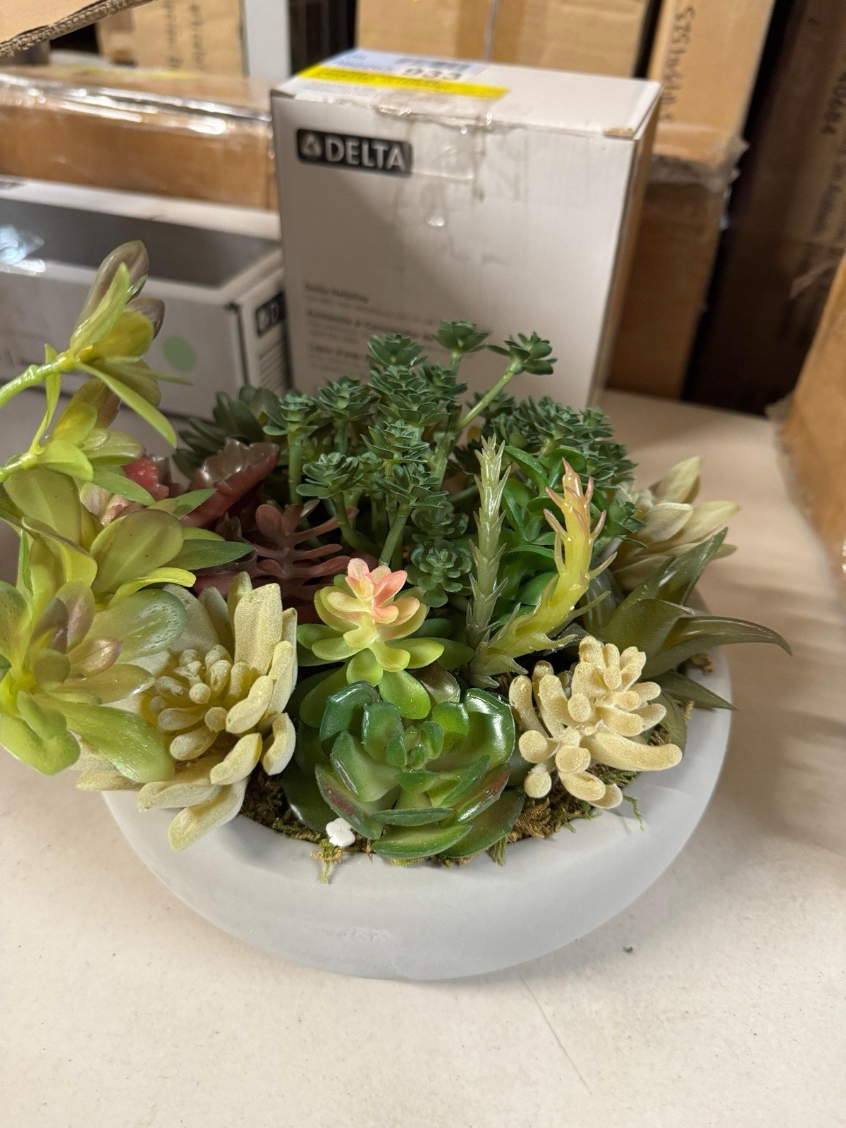 Primrue Benita 7″ Faux Succulent Plant in Cement Pot