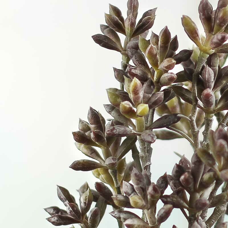 Factory Direct Craft Artificial Vinyl Succulent Bundle