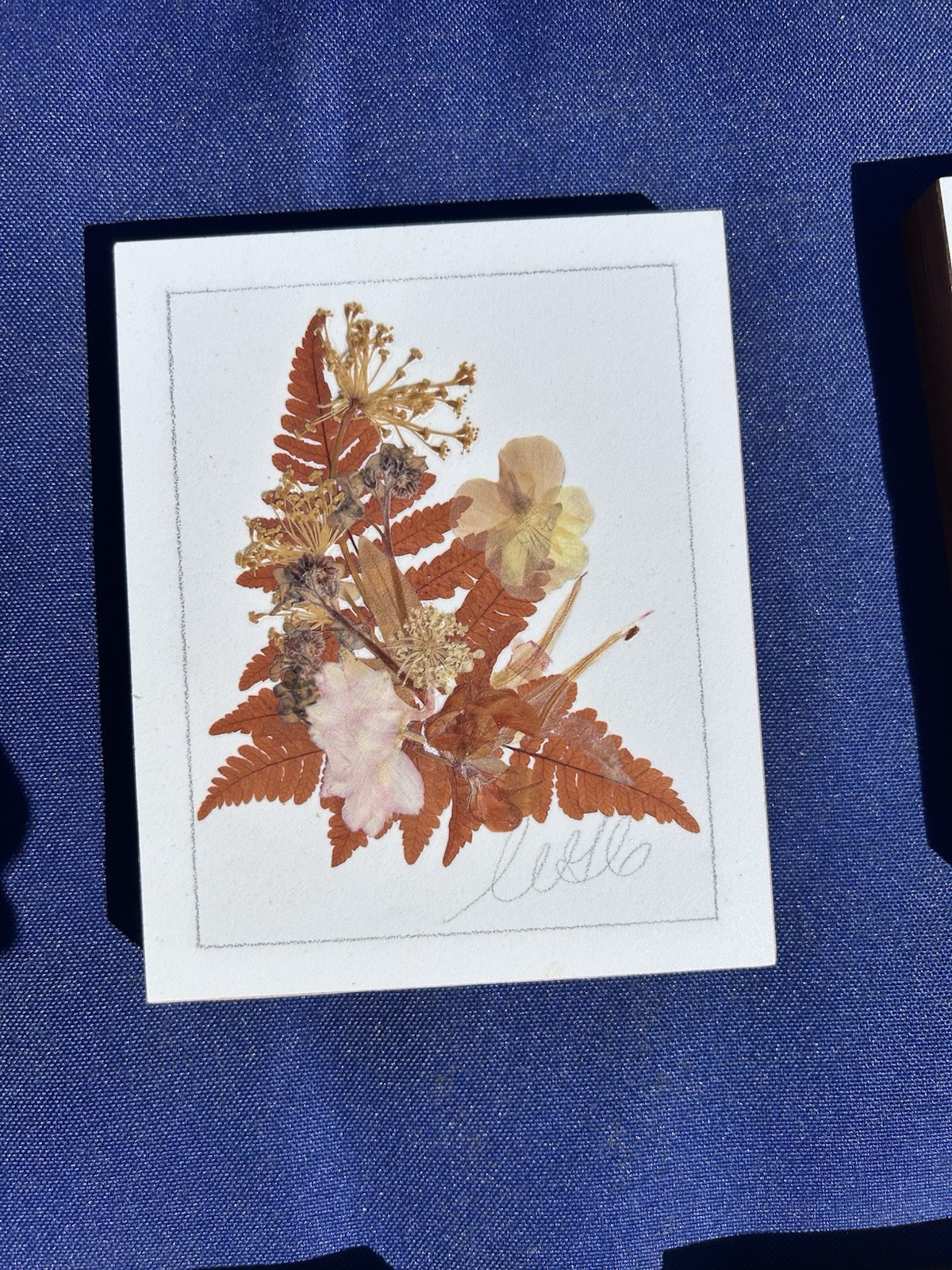 Vintage Pressed Flower Art Set 5 Botanical Floral Plaques Cottagecore Wall Decor
