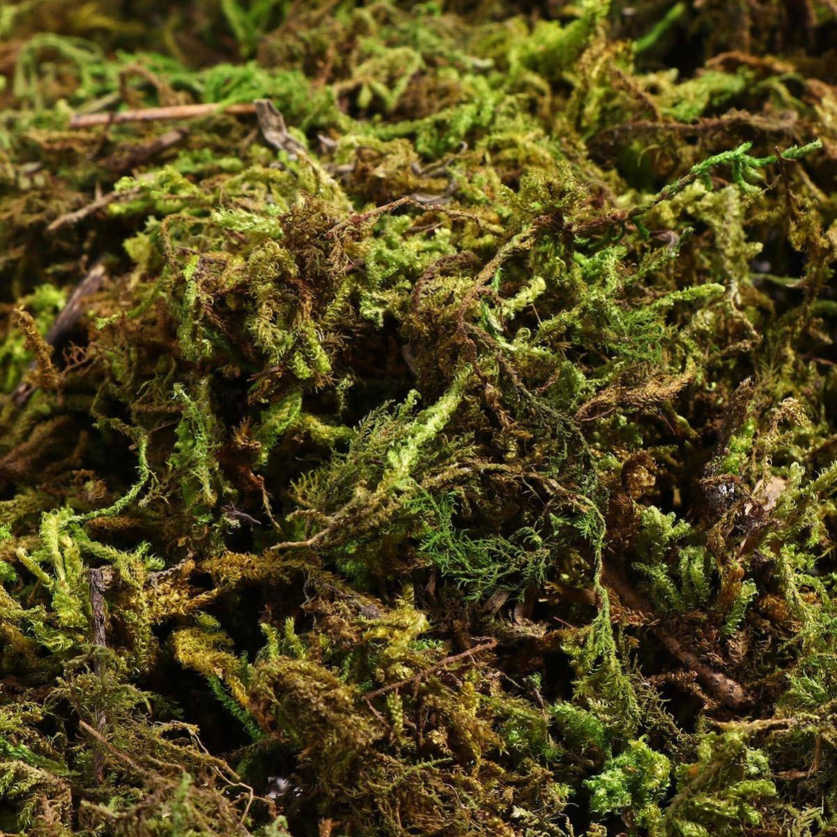 60g Green Artificial Fake Moss for Craft Decorative Faux Moss for Plant Garden