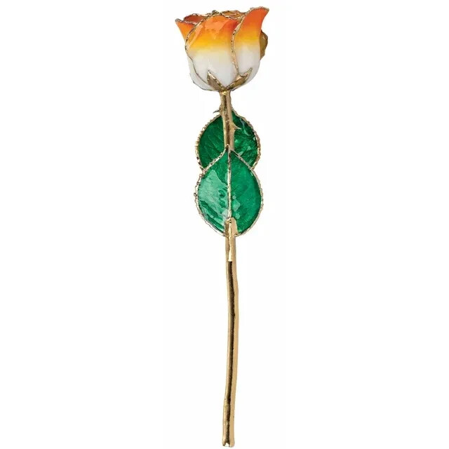 Genuine 24K Gold Orange Rose