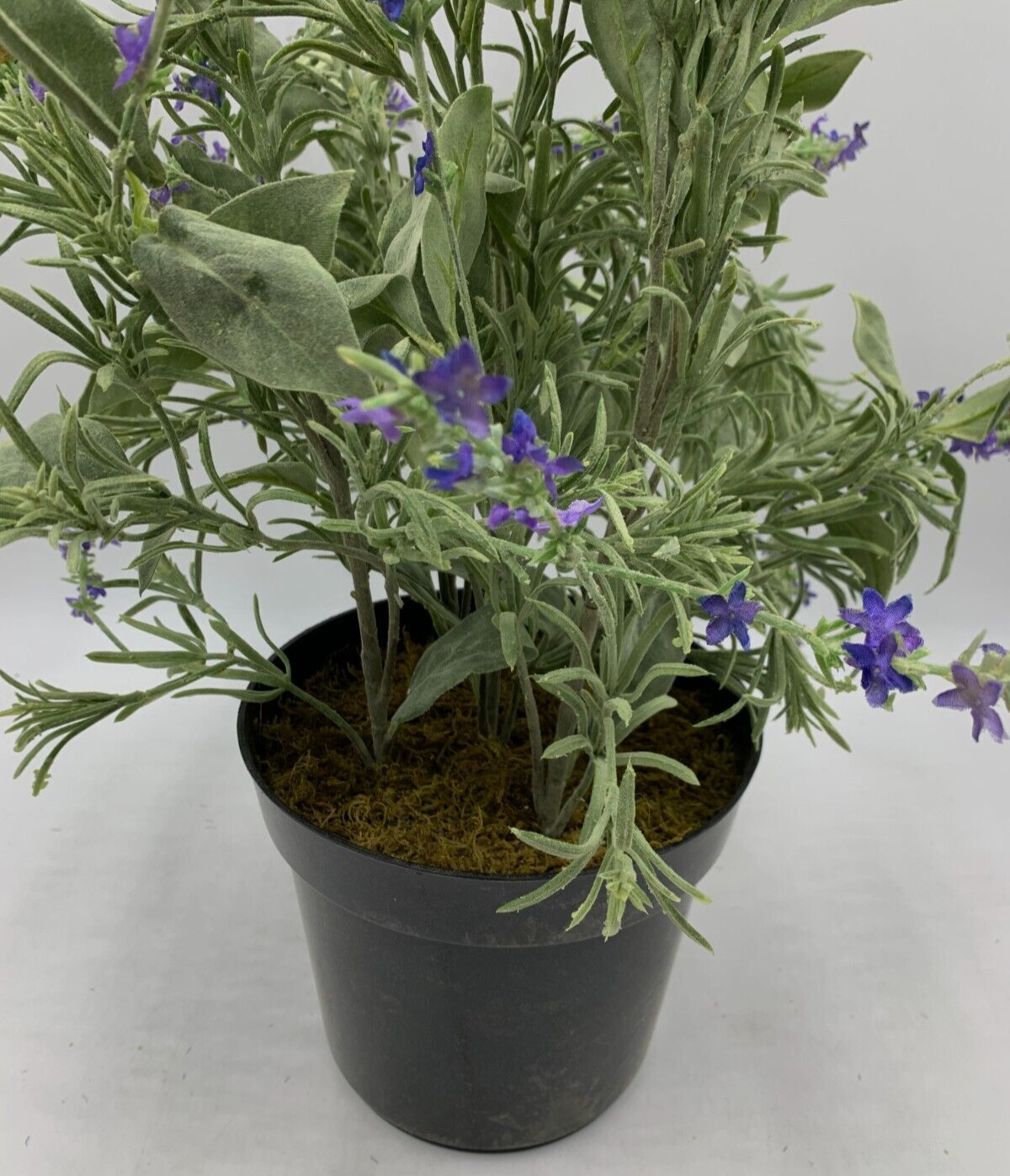 Pottery Barn Faux Potted Lavender in Terracotta Pot Large 24.5″ H #1695 READ