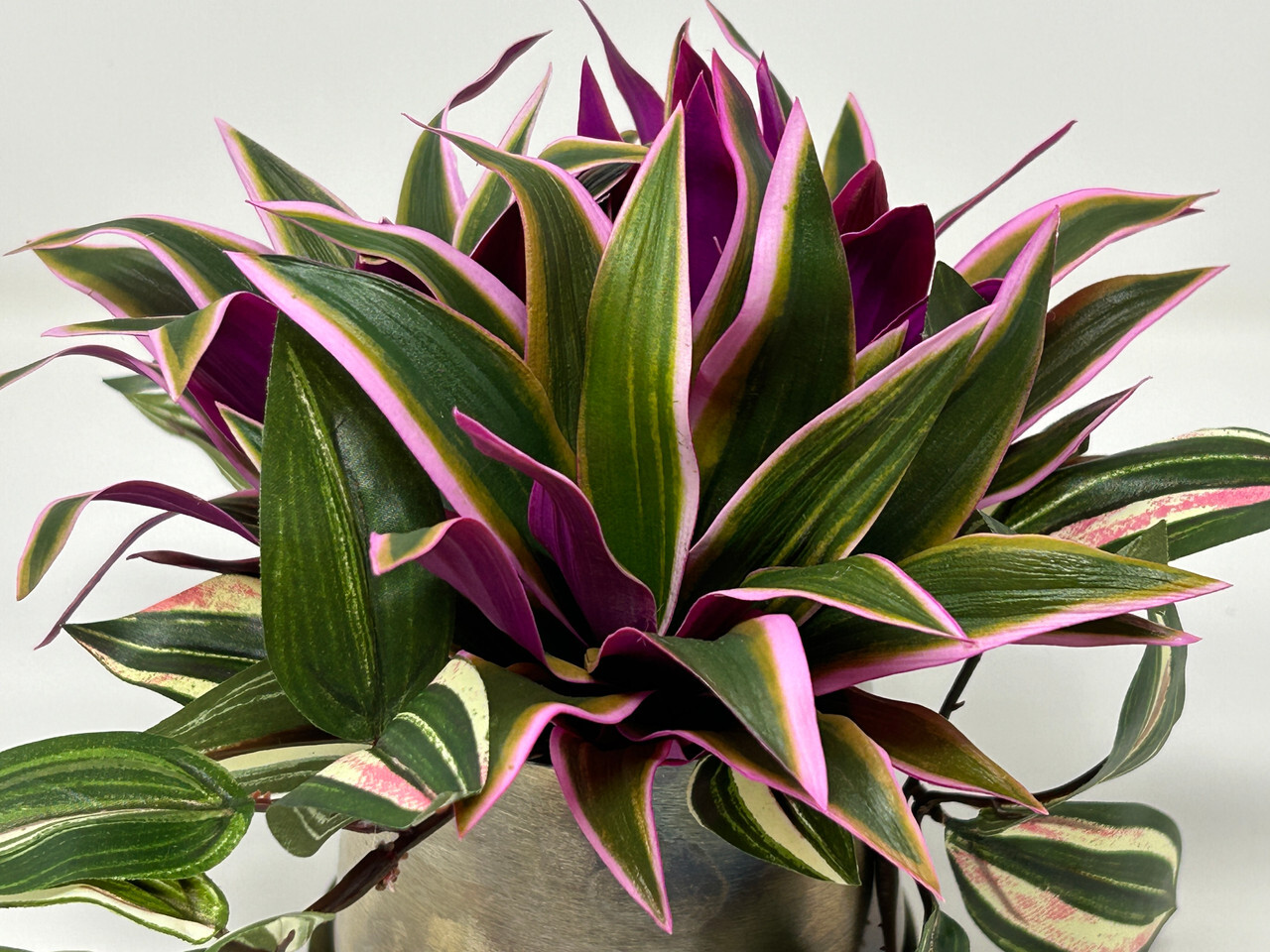 7.5″ Artificial Purple/Pink TRADESCANTIA Silk potted plants in Silver Metal Pot