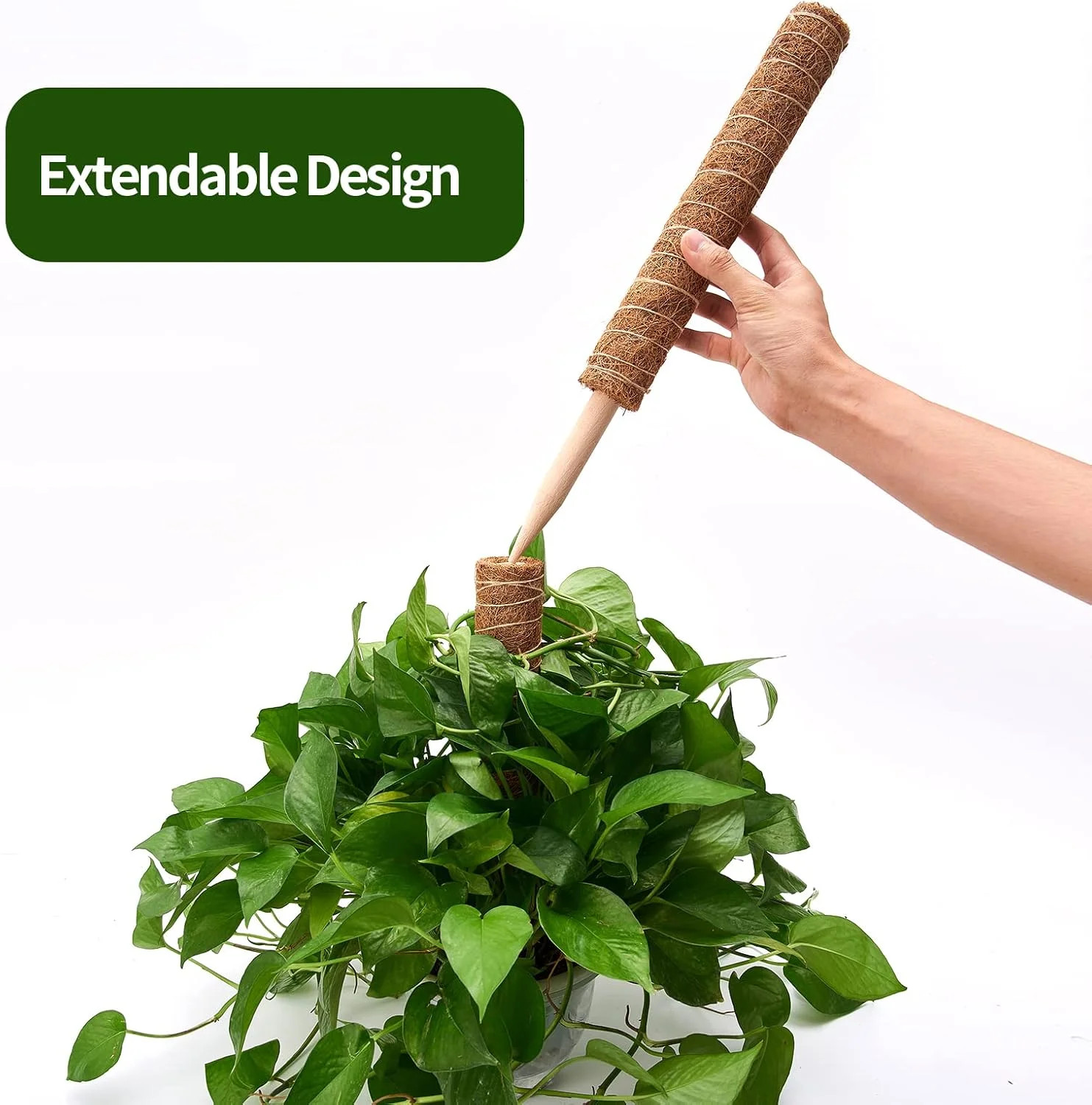 Eibikdi 6 Pcs Moss Pole Extending to 68 Inches for Plants Monstera, Plant Suppor