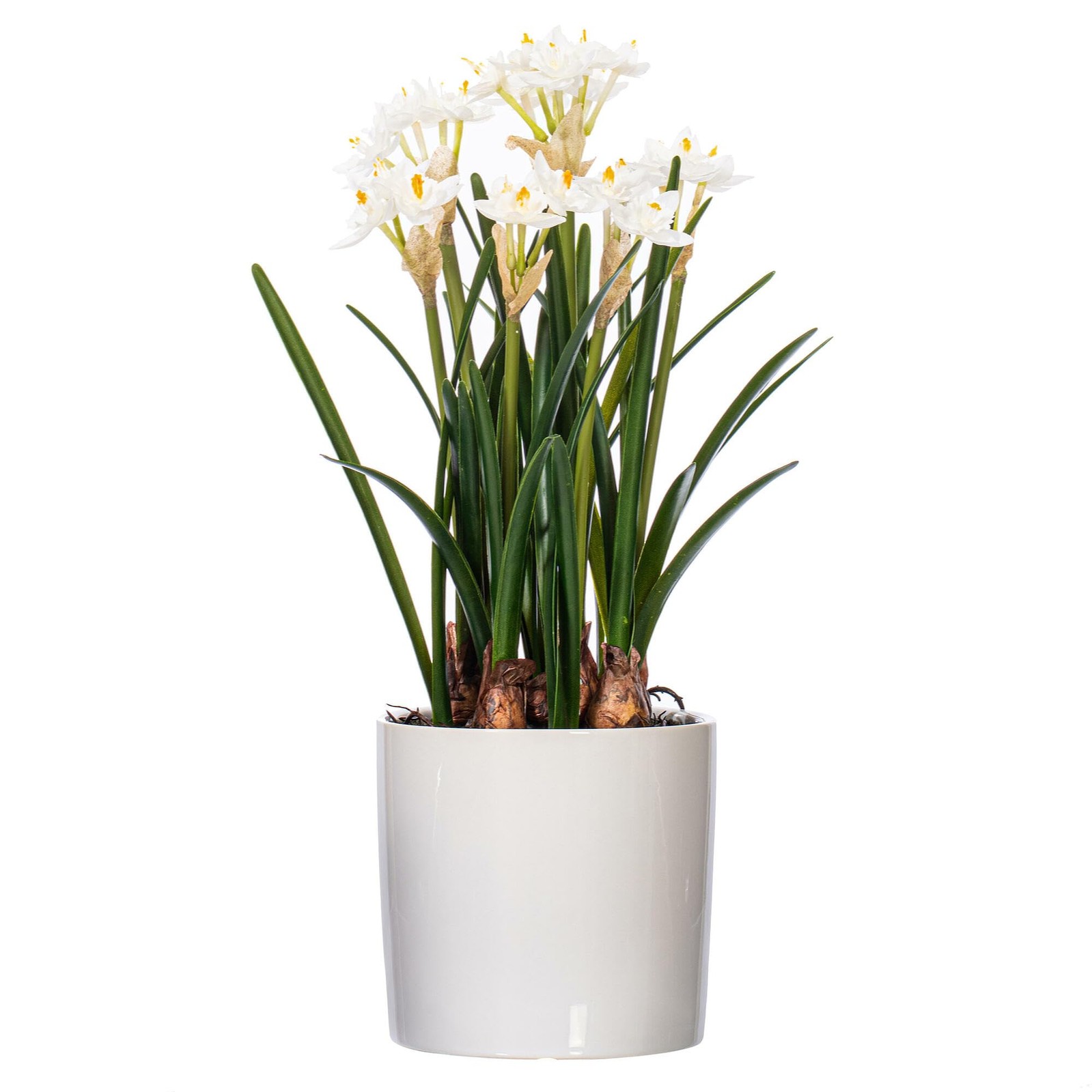 Vickerman 16.5″ Plastic Artificial Daffodil with Ceramic Pot in Green/White