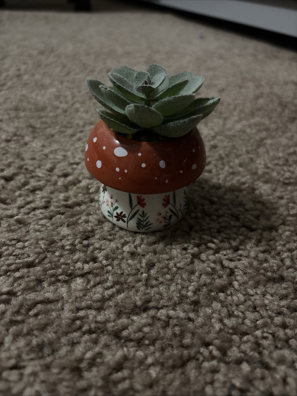 Mushroom Succulent Desk Plant Home Office Decor