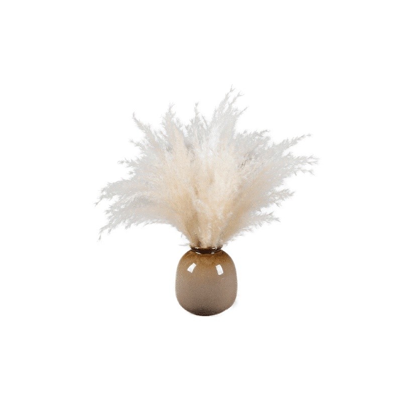 Dried Pampas Grass Arrangement in Brown Ceramic Vase Natural Home Office Decor