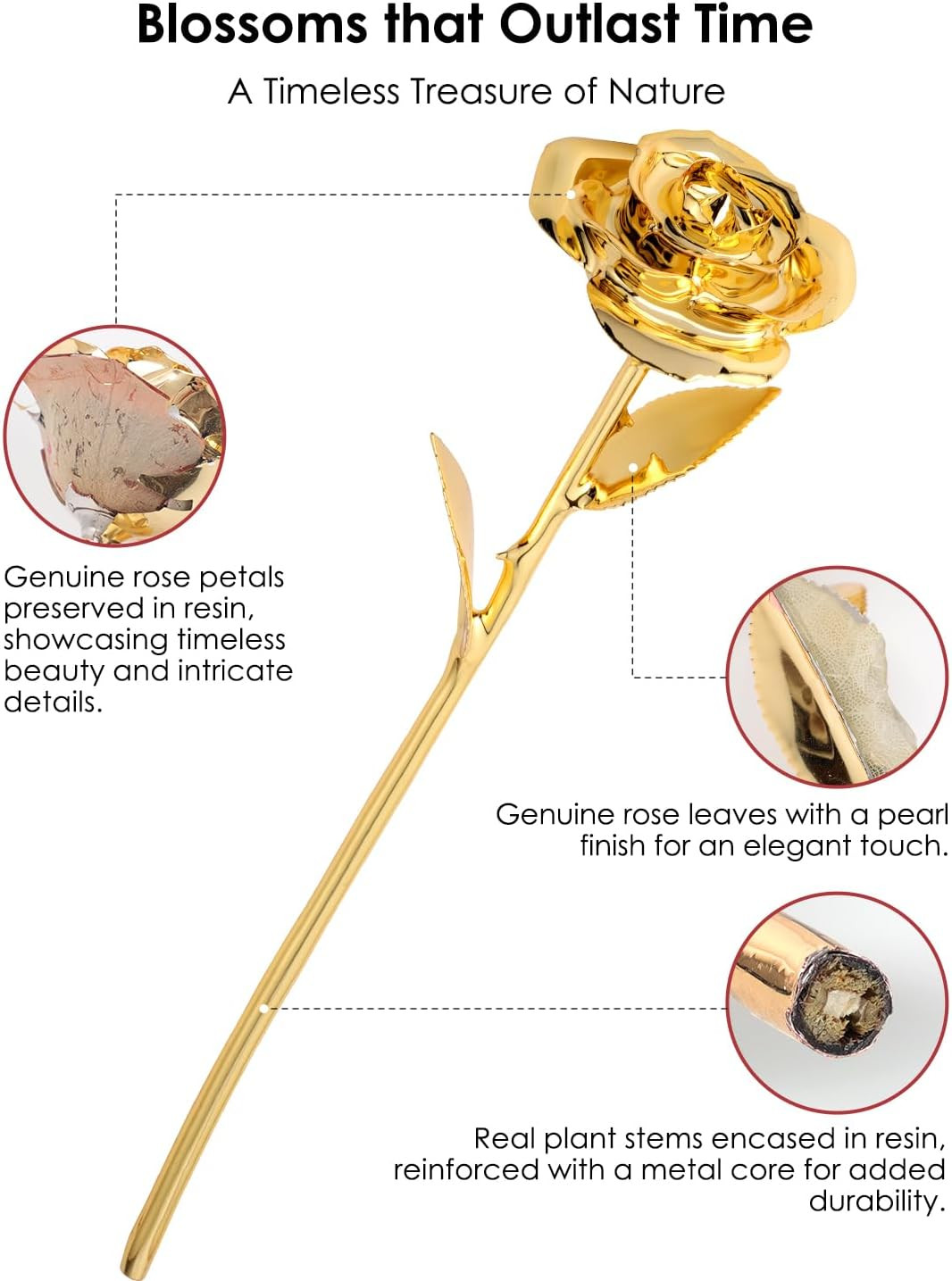 24K Gold Dipped Real Rose – Handcrafted, Elegant, One of a Kind – Romantic Gift