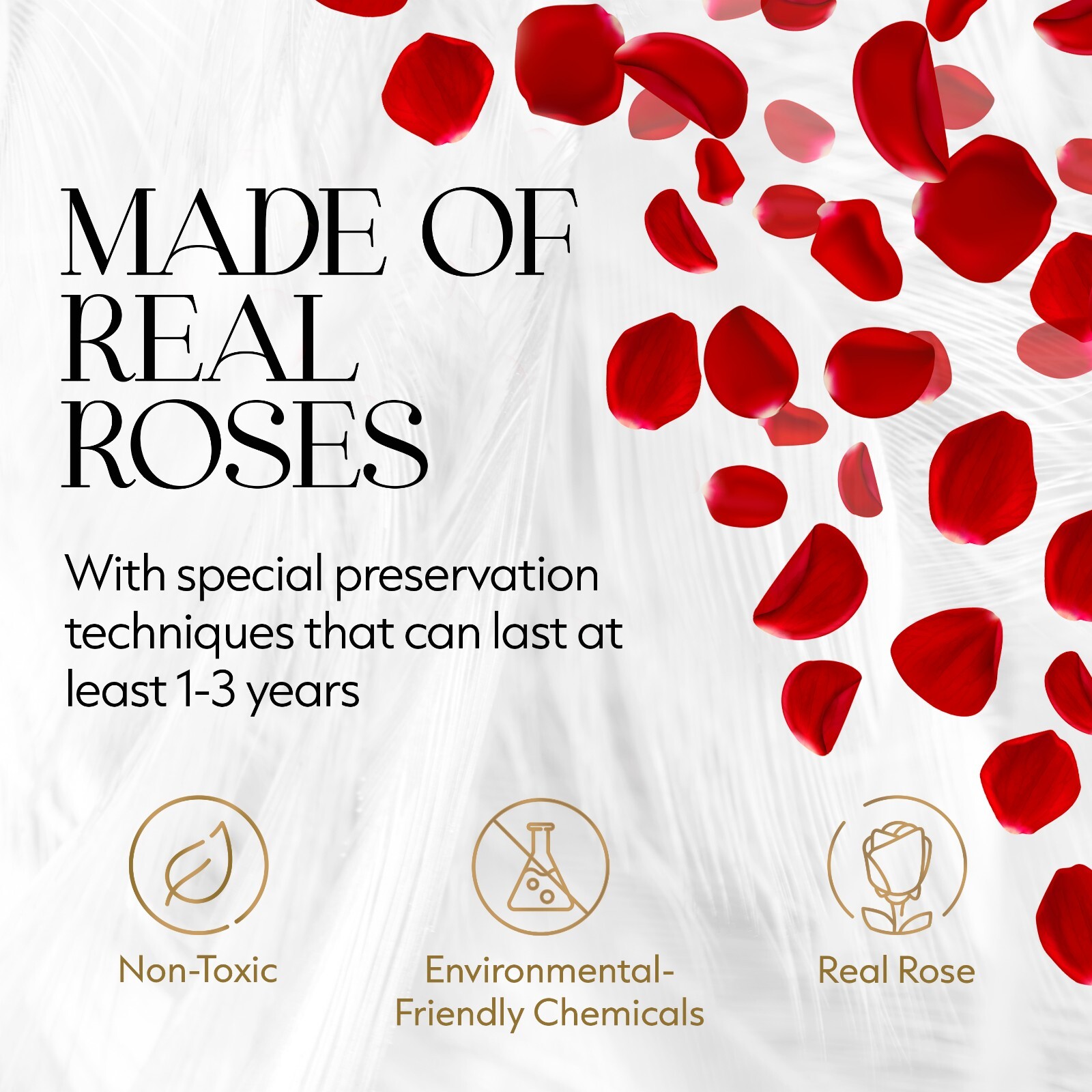 Glamour Boutique Preserved Roses in a Box 9-Piece Flowers Decor in Square Box
