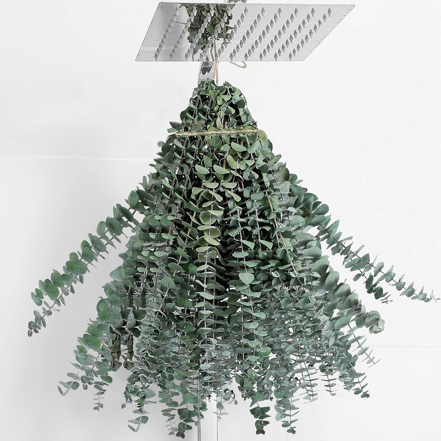 20 Pcs Dried Eucalyptus Stems 17″ Real Eucalyptus for Shower Hanging 100% Mad…