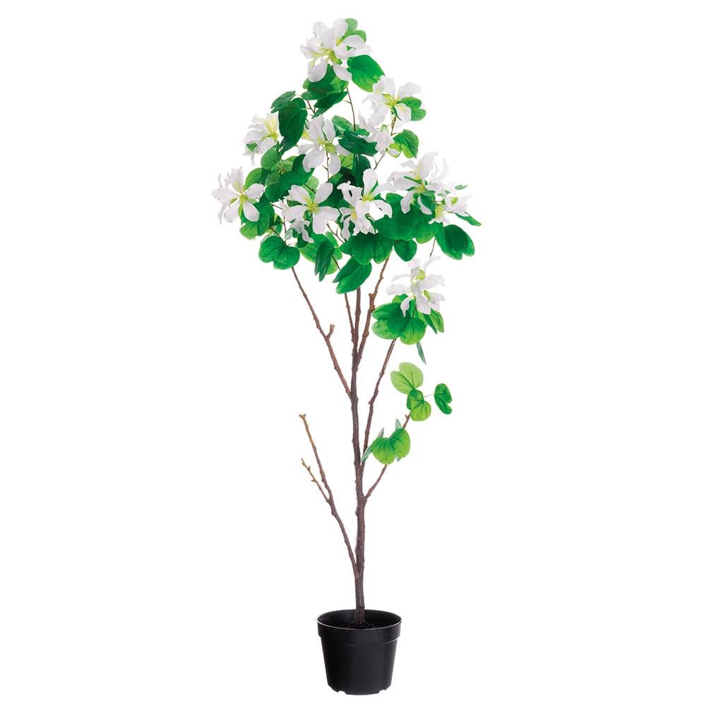 Green Bauhinia White Flowers 66″H Faux Plant in Plastic Pot