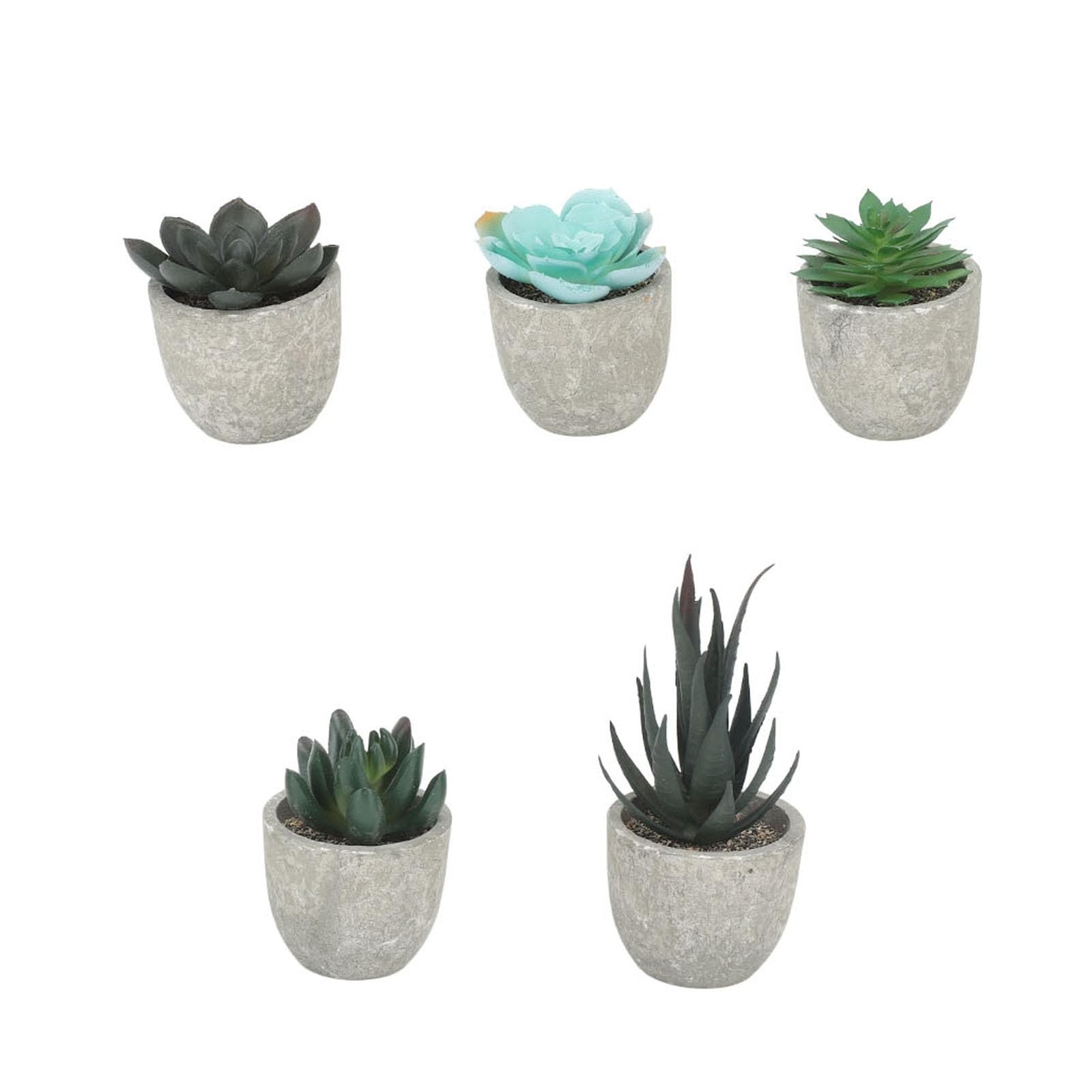 5 PCS Succulents Plants Artificial Mini Fake Pots Assorted Small Faux Decor