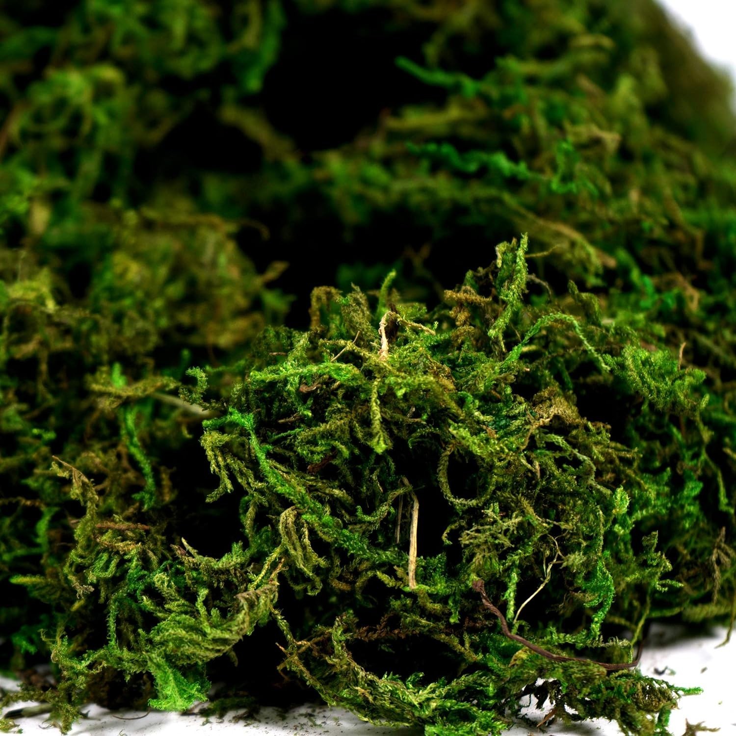 225g Compressed Faux Moss in Fresh Green – Ideal for Centerpieces & Crafts