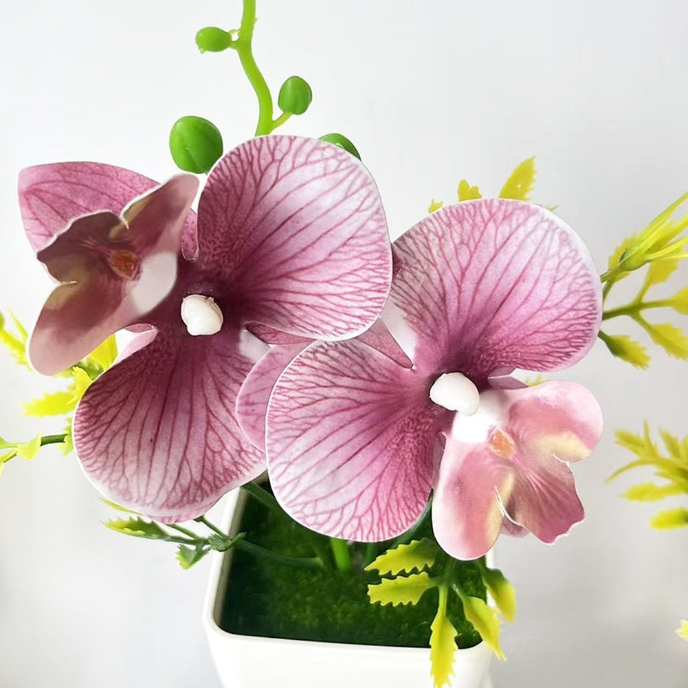 Artificial Phalaenopsis Orchid for Home Decor Wedding Table Centerpiece