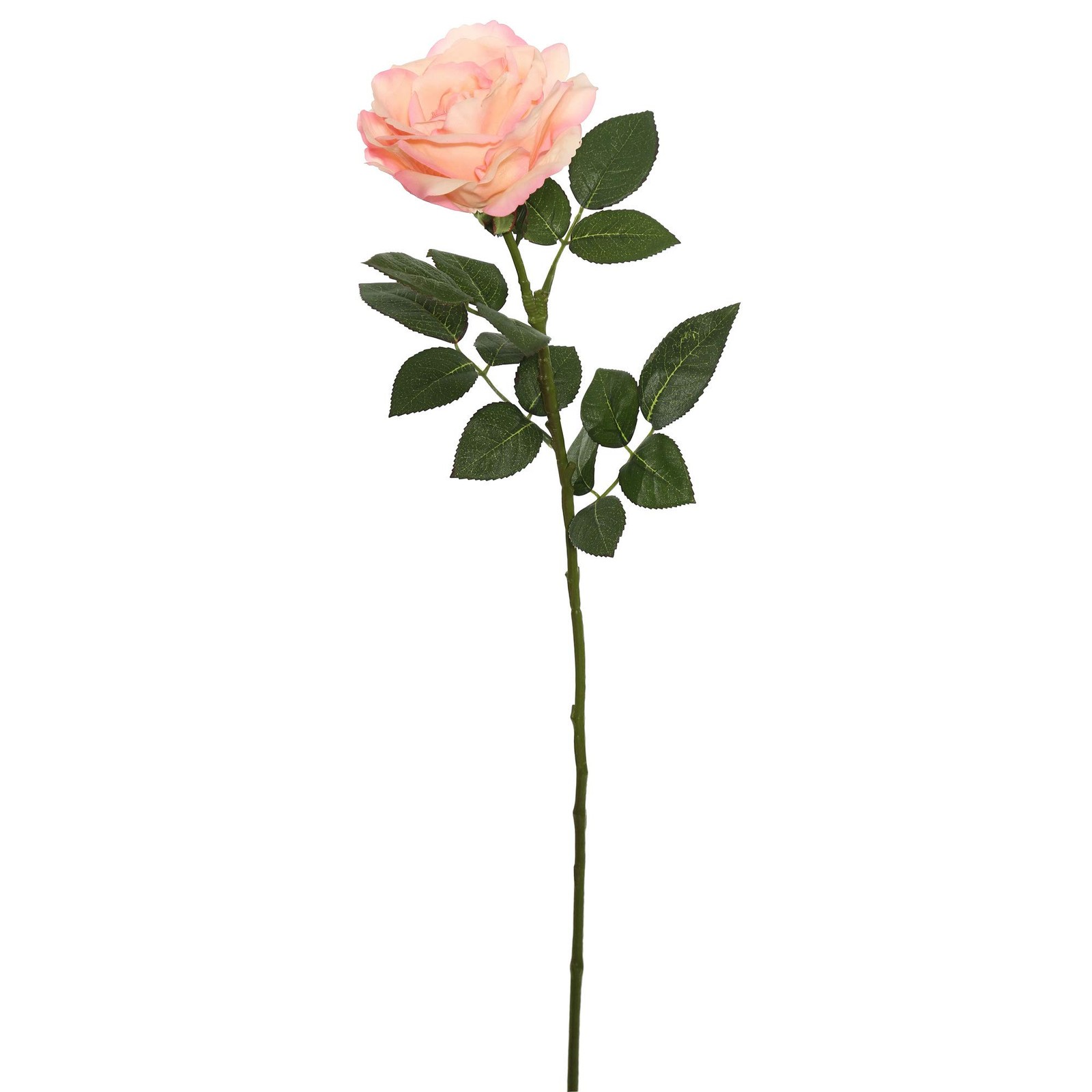 Vickerman 27” Artificial Natural Touch Rose Stem in Peach Pink (Set of 3)