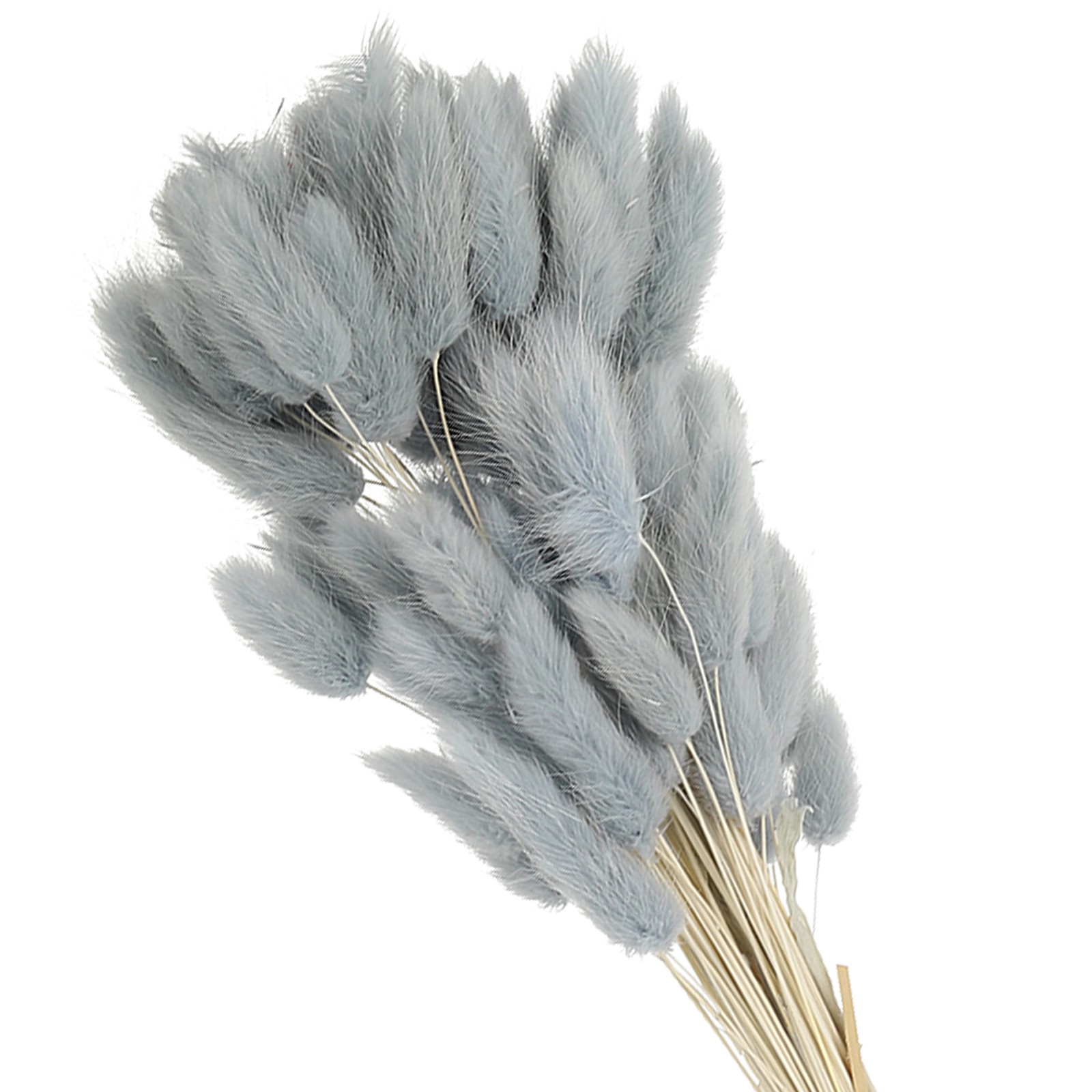 15.7in Bunny Tails Dried Flowers 150pcs Pampas Grass Decor, Gray Blue