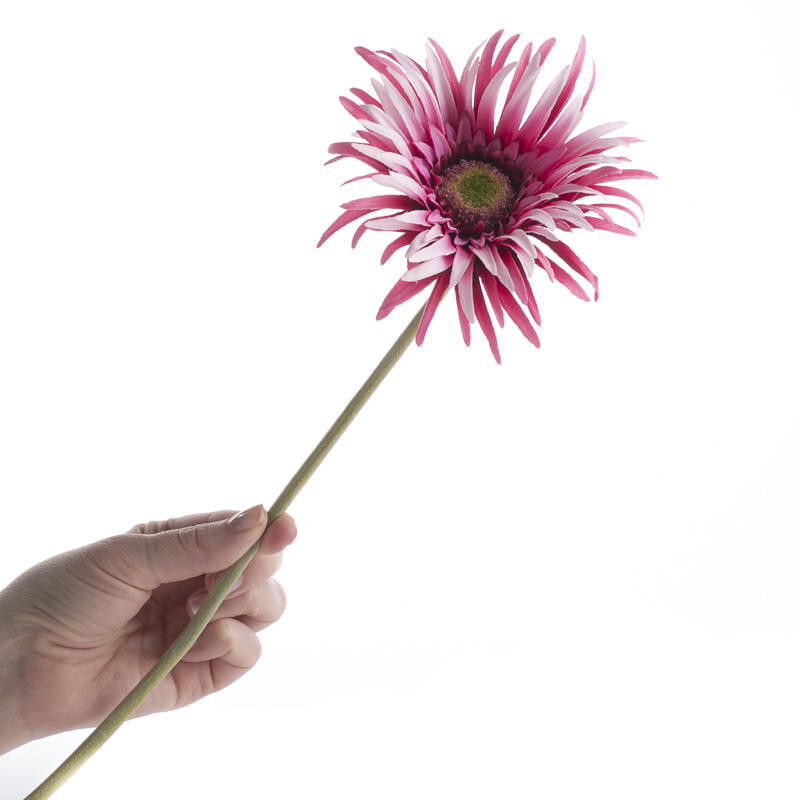 Package of 6 Pink Artificial Gerbera Spider Daisy 25″ Stems