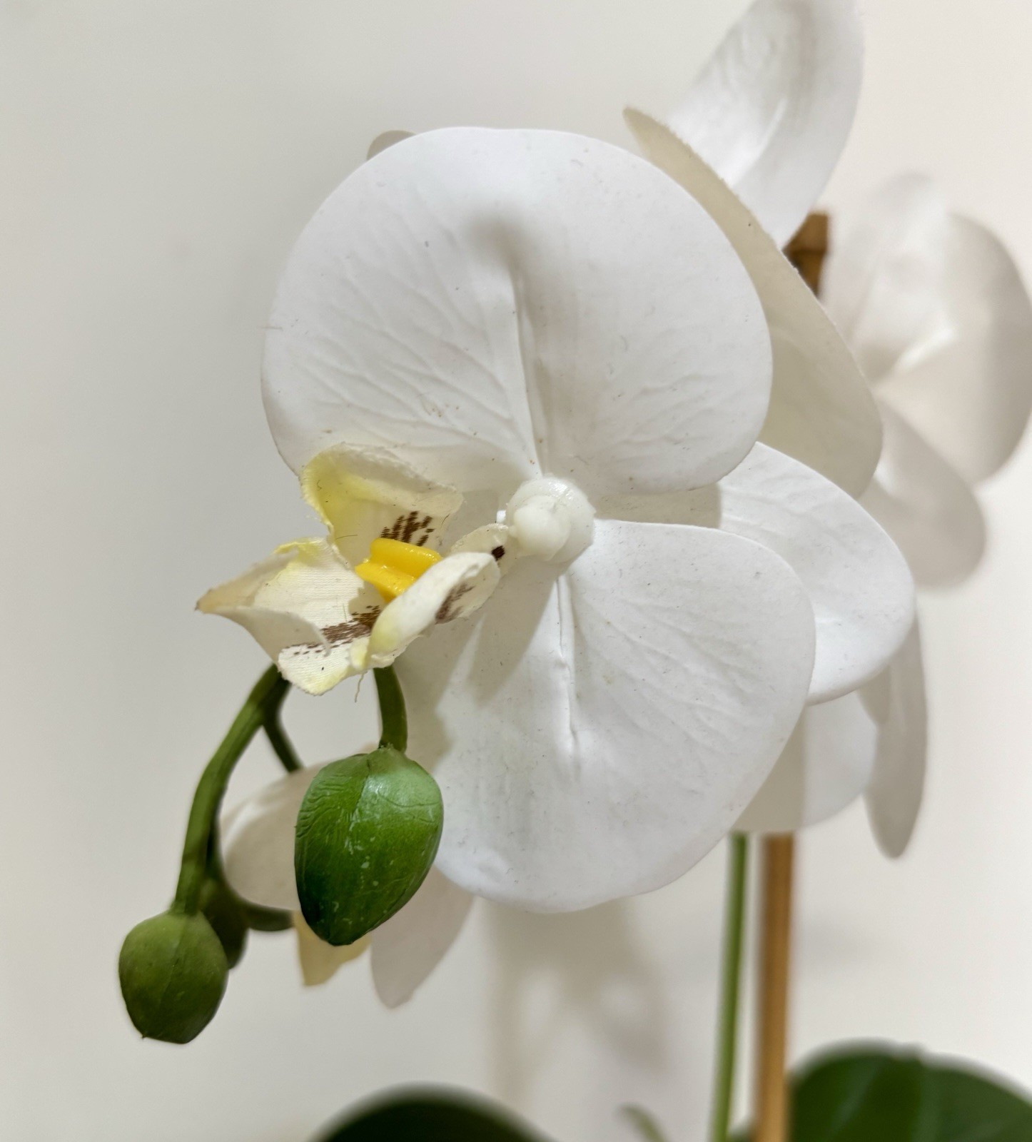 Beautiful Artificial Phalaenopsis Orchid In Pot White Multiple Flowers