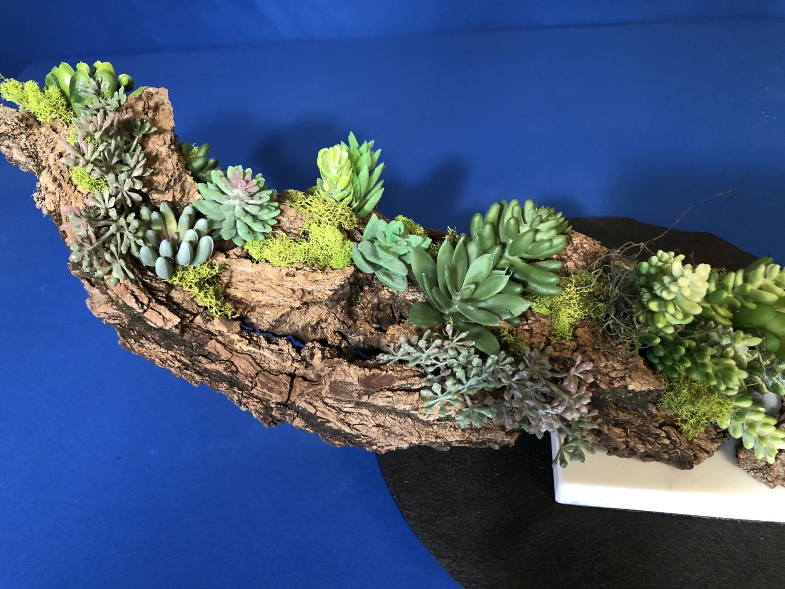 Artificial Succulent Air Plant Home Office Mounted on Real Wood Bark and Stone