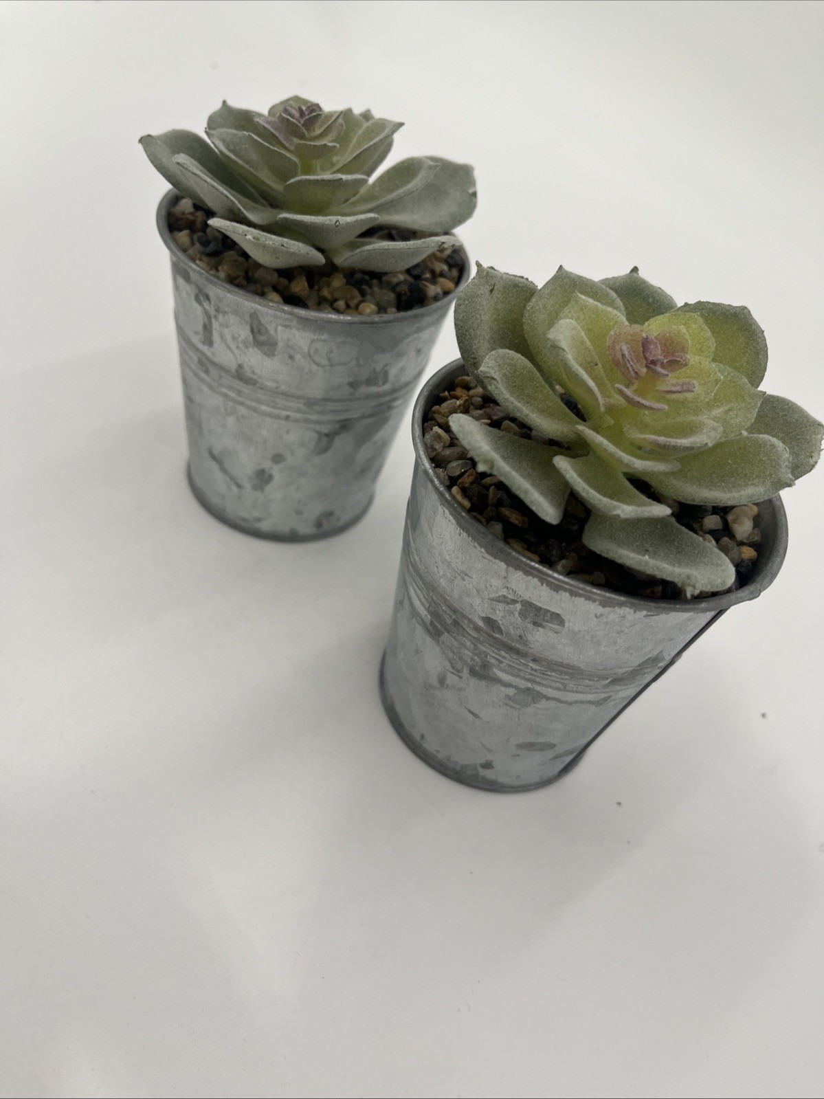 Fake Plants