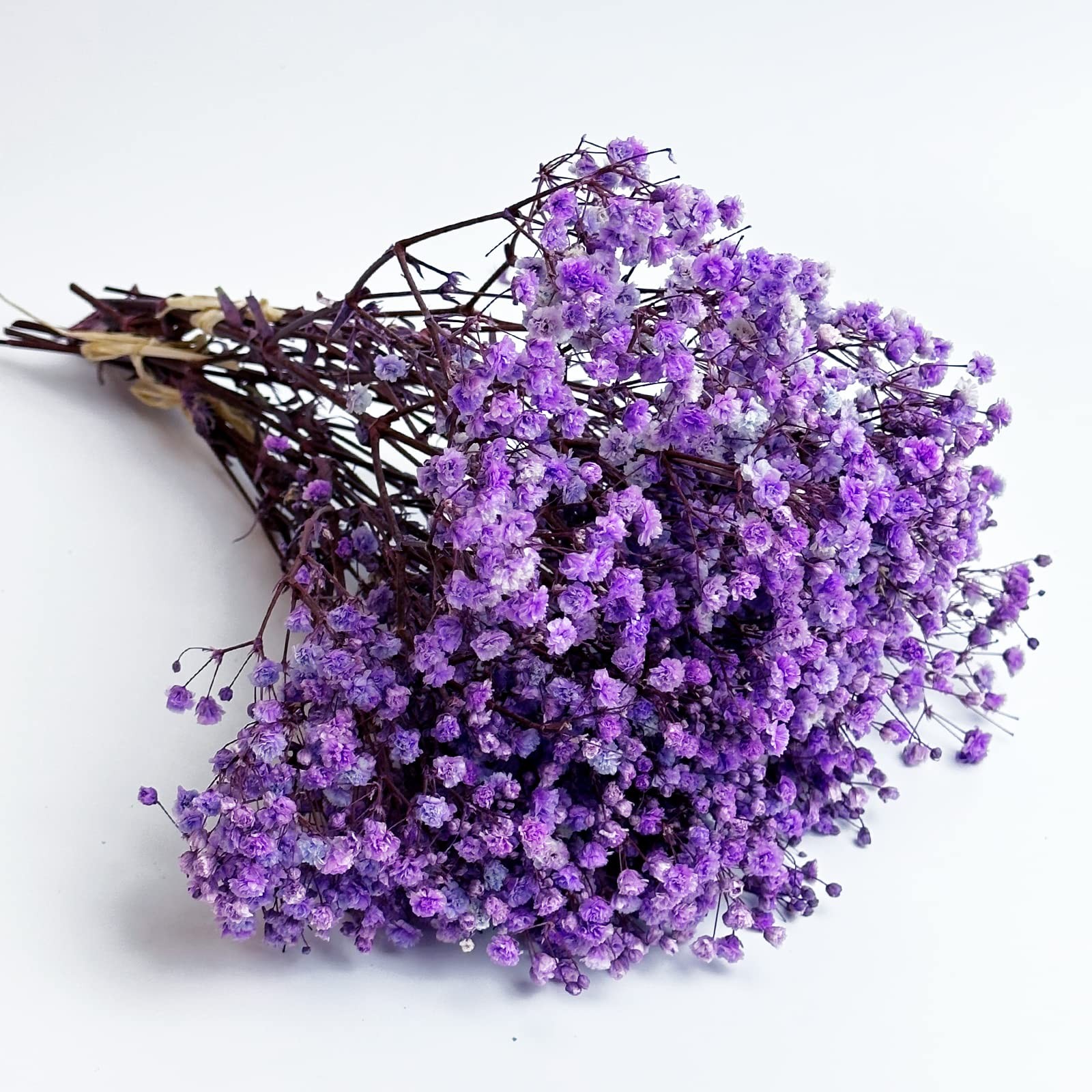 Preserved Baby’s Breath 3 Bunches, 100% Natrual Fresh Gypsophila Long Lasting…
