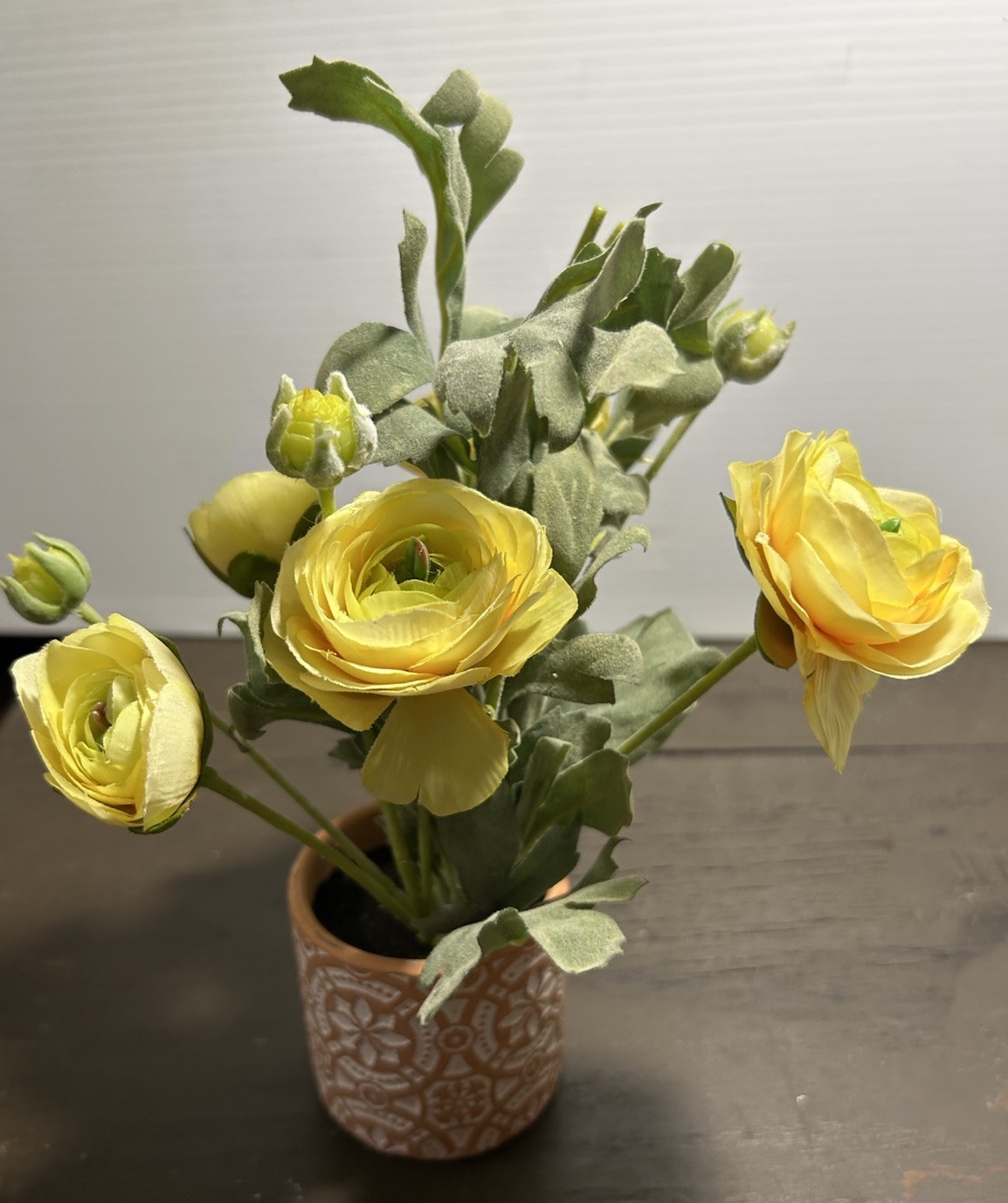 Yellow Ranunculus Flowers In Patterned, Terra-Cotta Pot, Sage, Green Foliage
