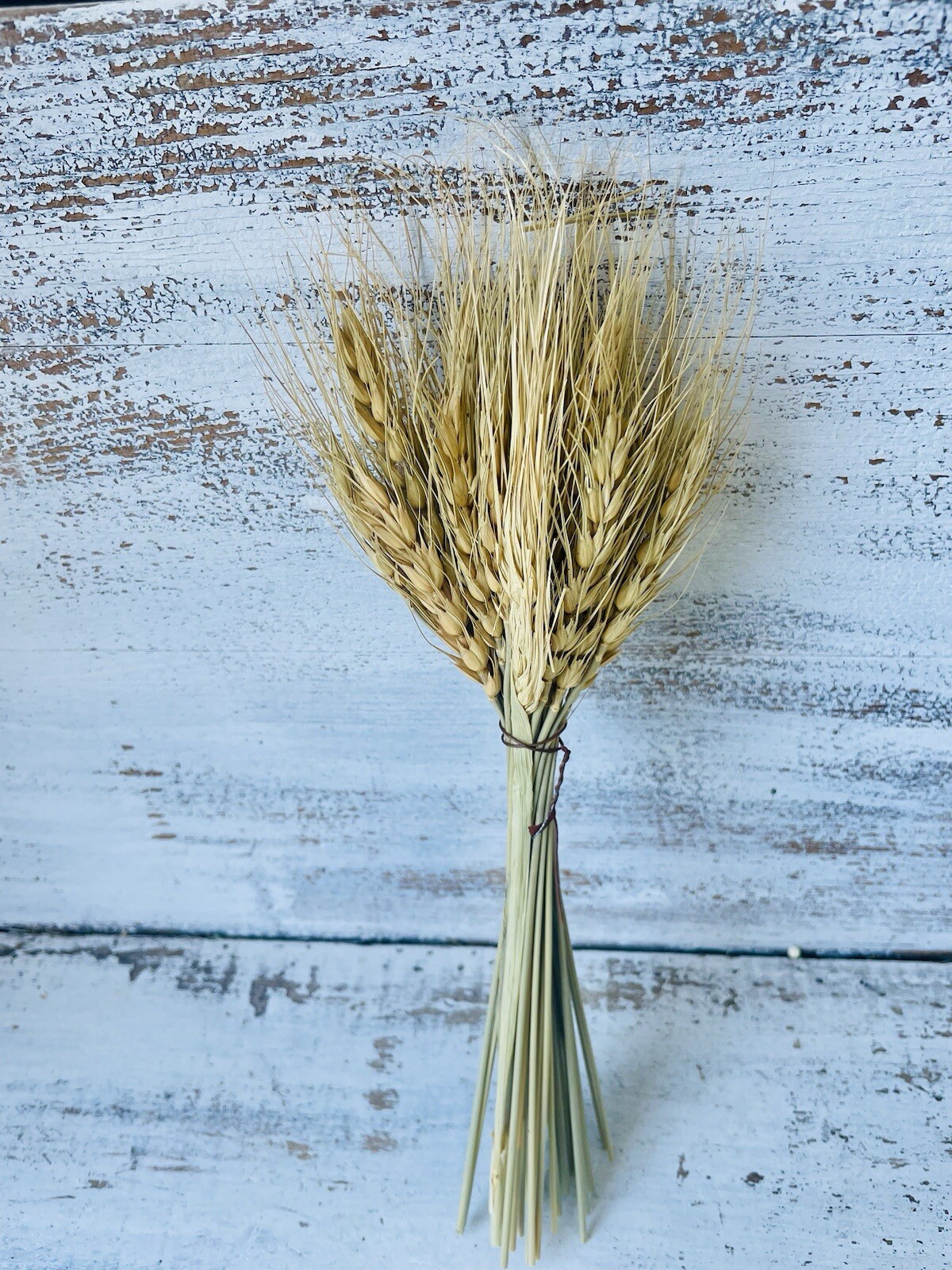 Wheat Bundle Bouquet