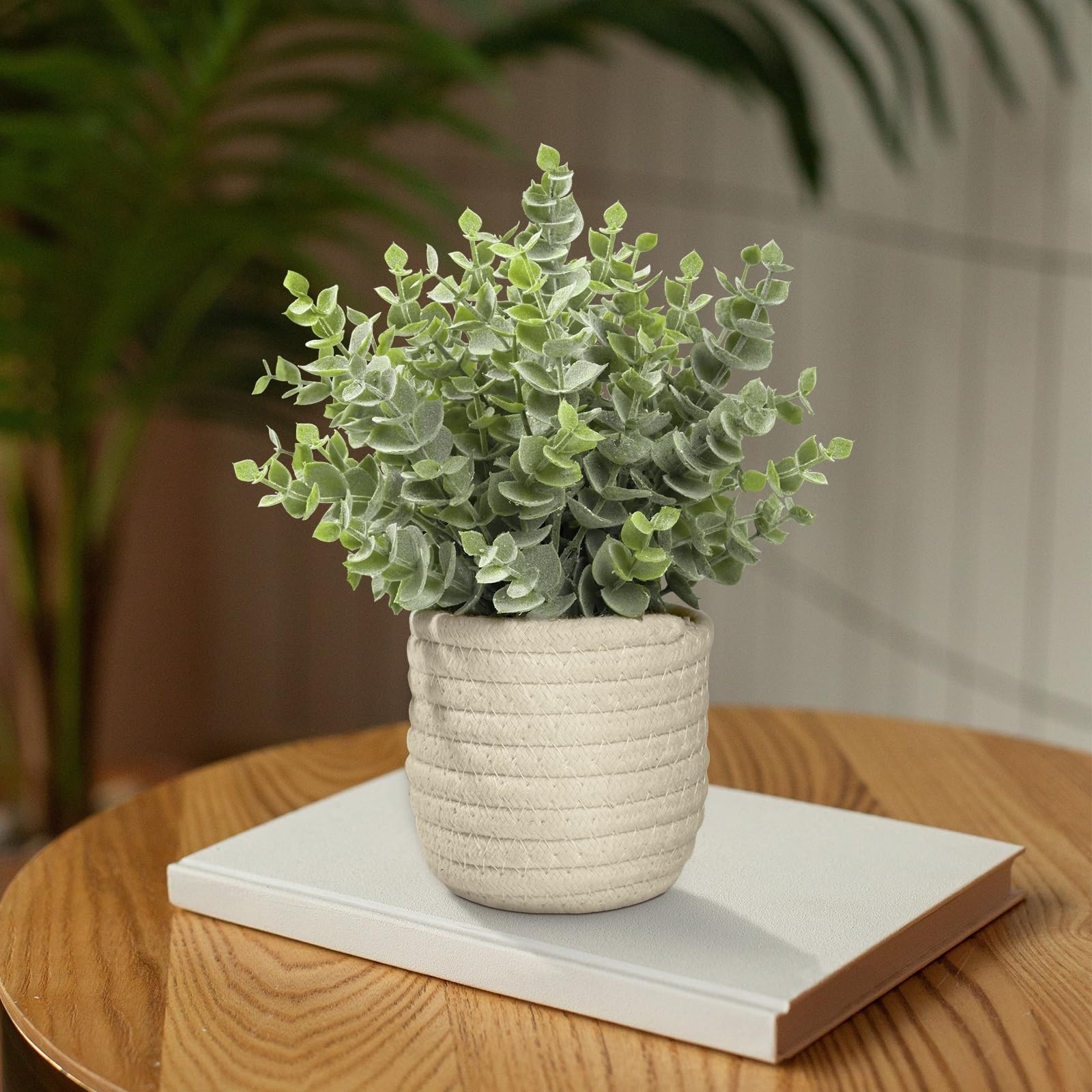 Faux Plants, Fake Plants Eucalyptus Potted for Home Office Desk, Artificial E…