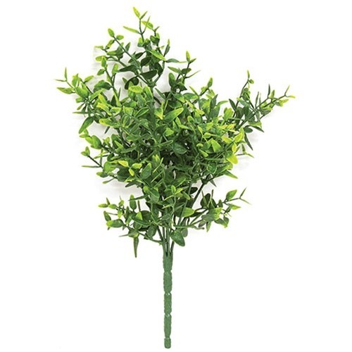 New Country Cottage GREEN LEMON BEAUTY BUSH Pick Stem 11″